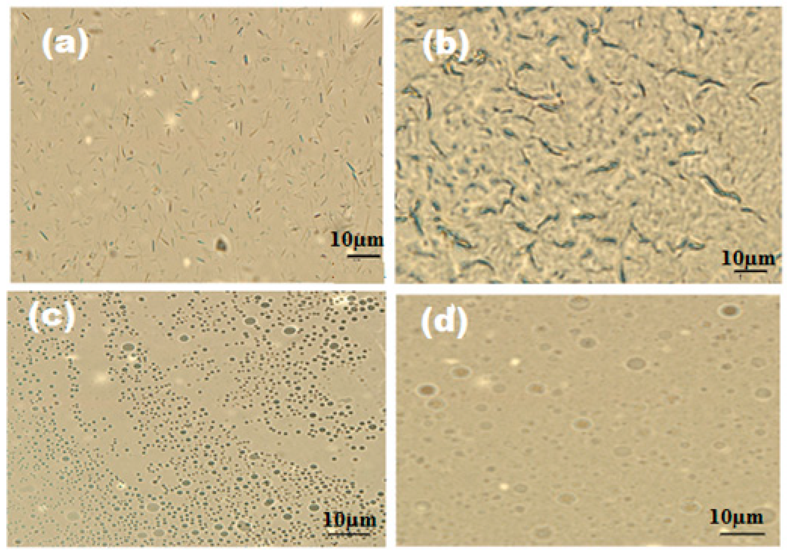 Molecules 20 11131 g006