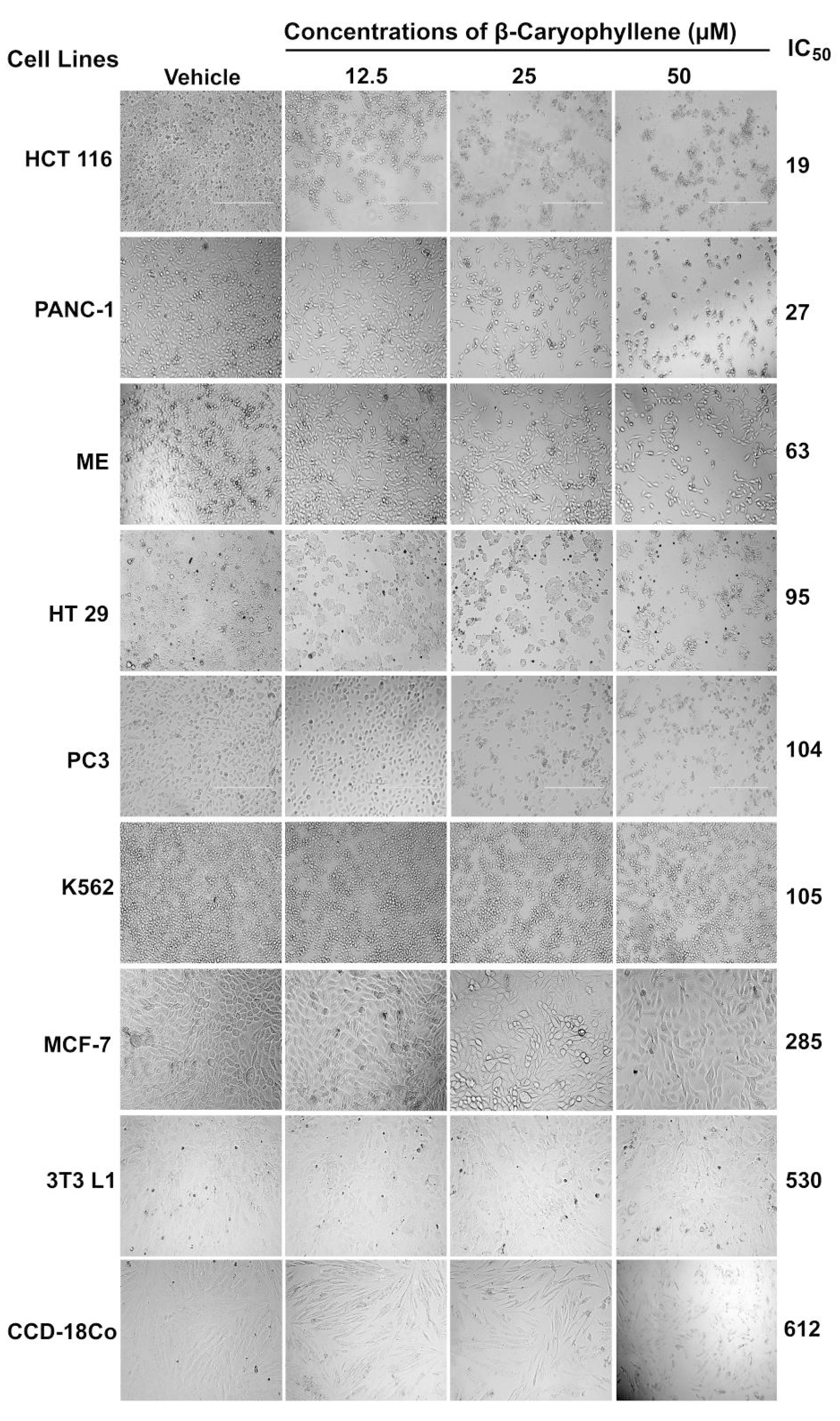 Molecules 20 11808 g004
