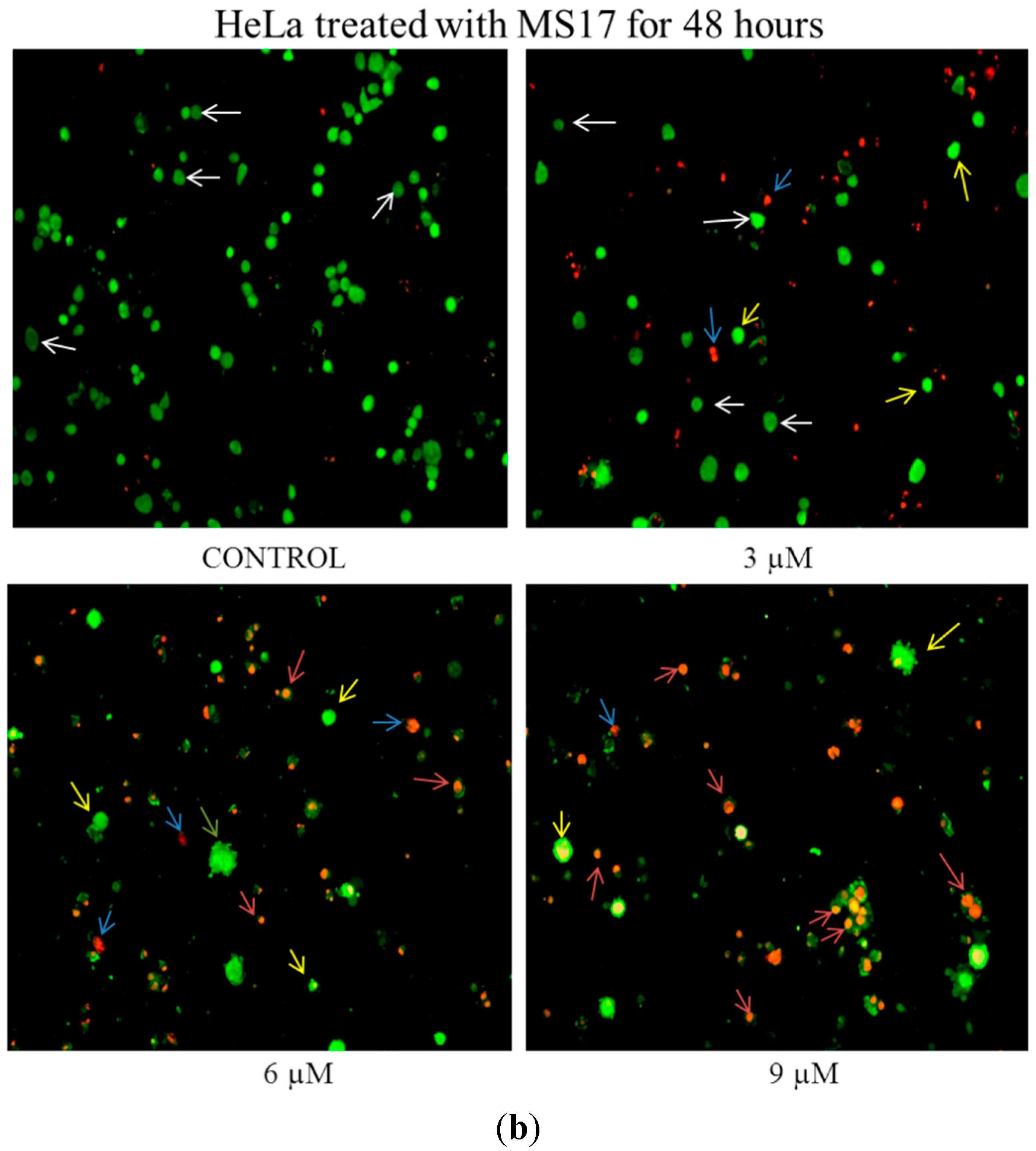 Molecules 20 11830 g005b 550