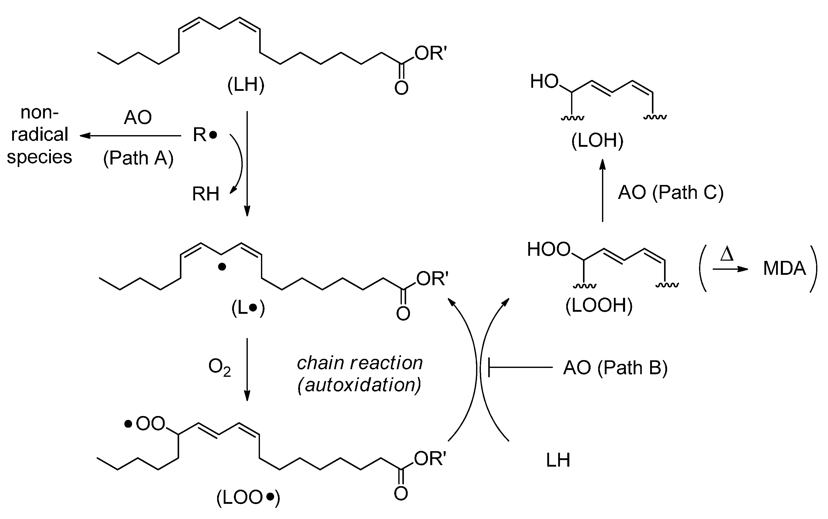 Molecules 20 12364 g003