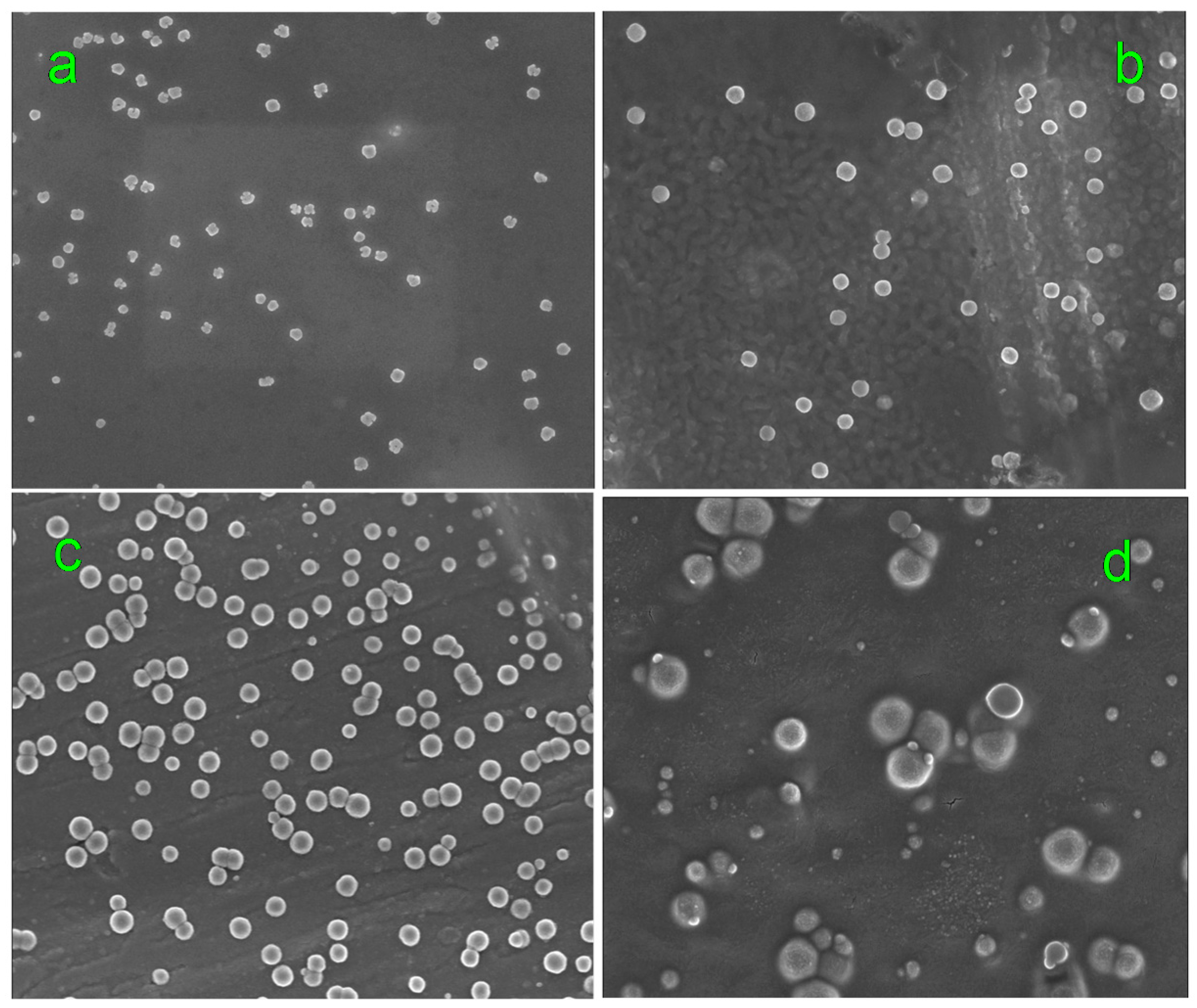 Molecules 20 12376 g001 550