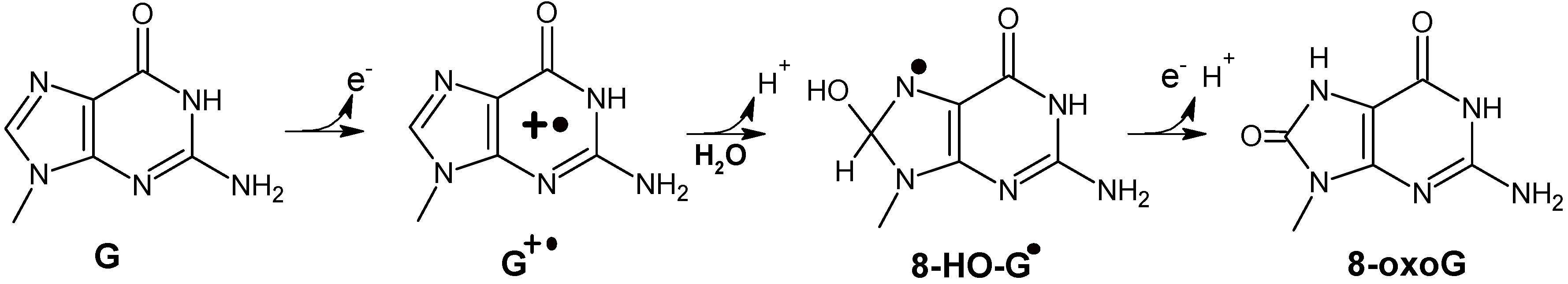 Molecules 20 12400 g005 550