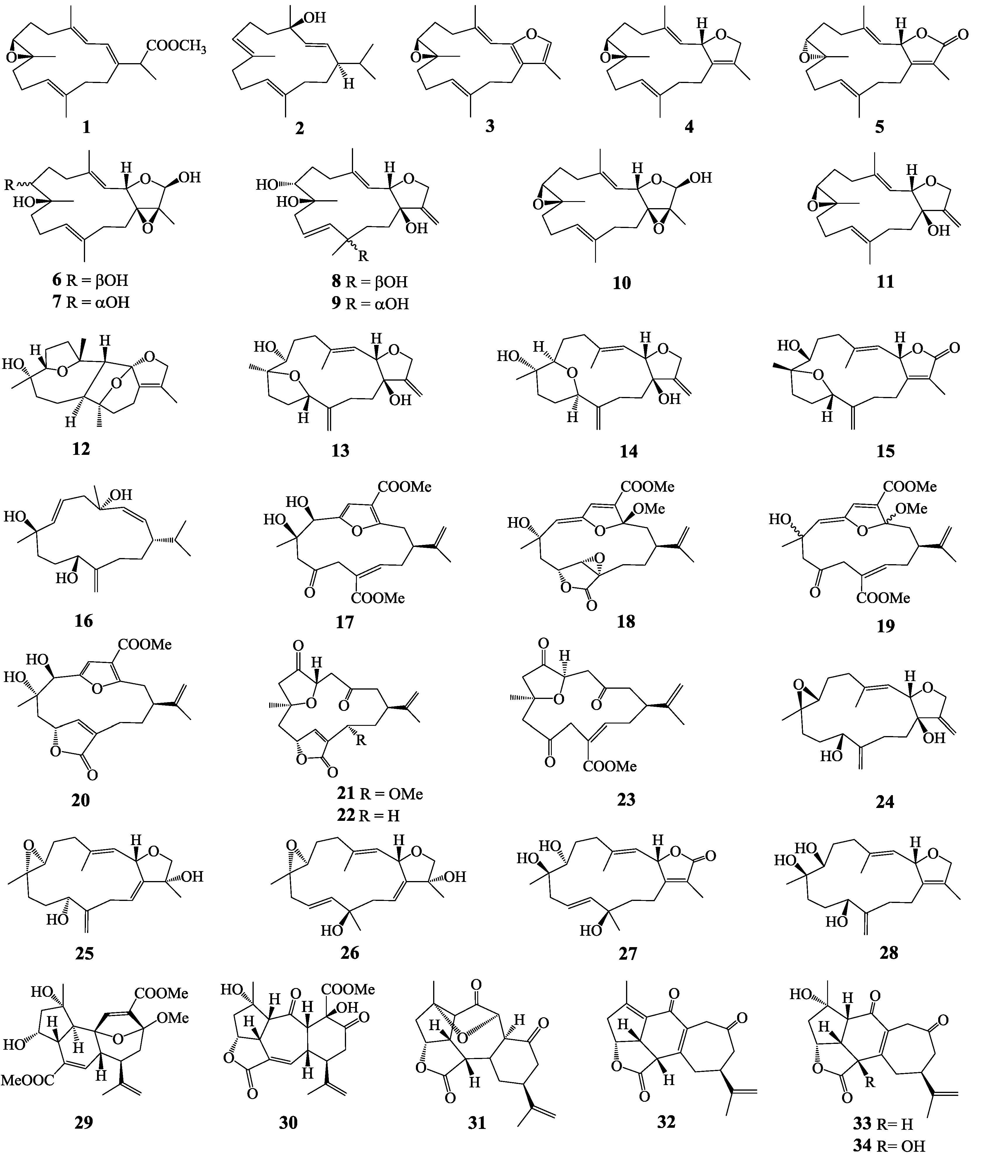 Molecules 20 12459 g001