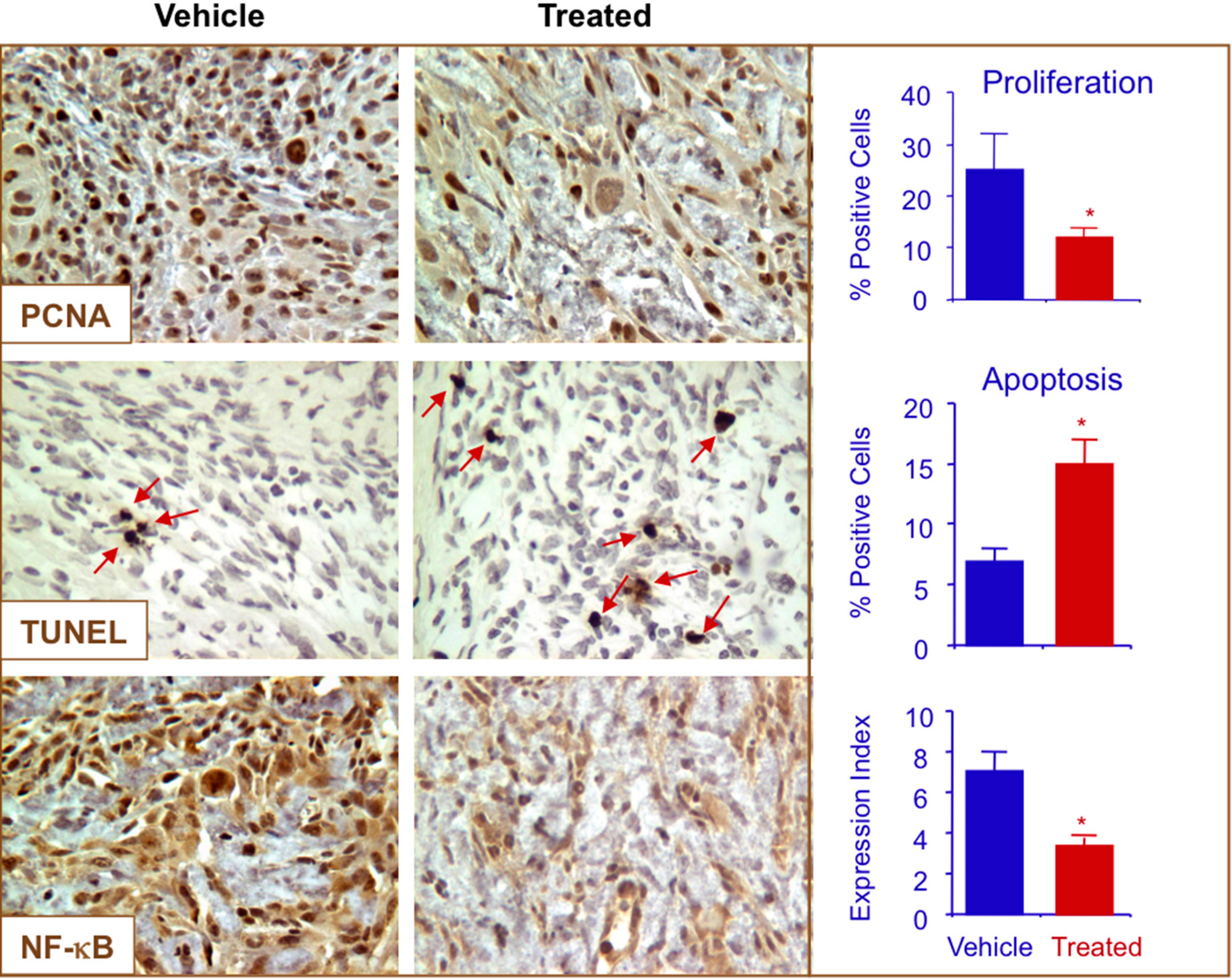 Molecules 20 12481 g008