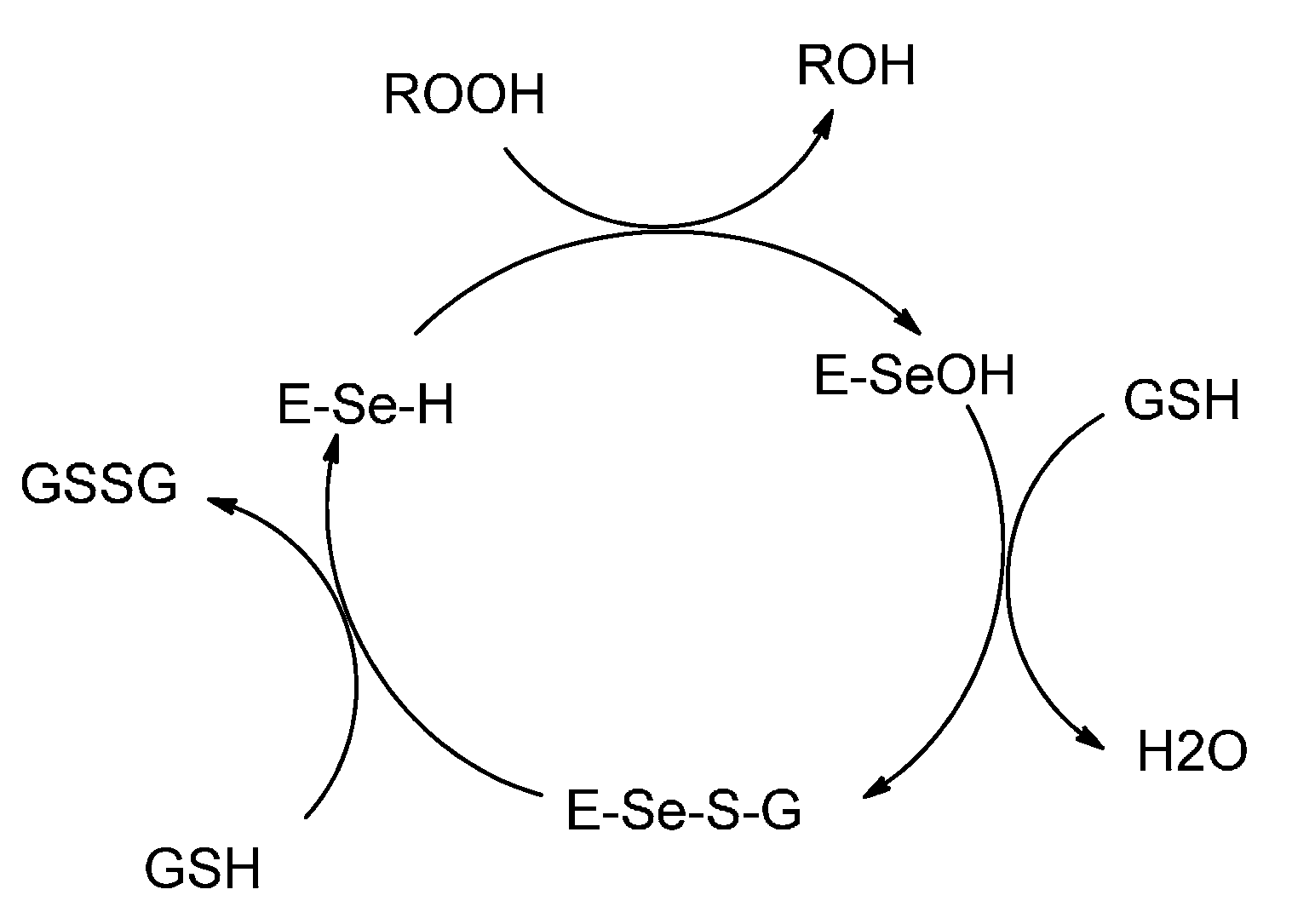 Molecules 20 12670 g009 550