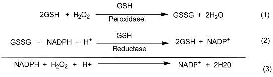 Molecules 20 12670 i006