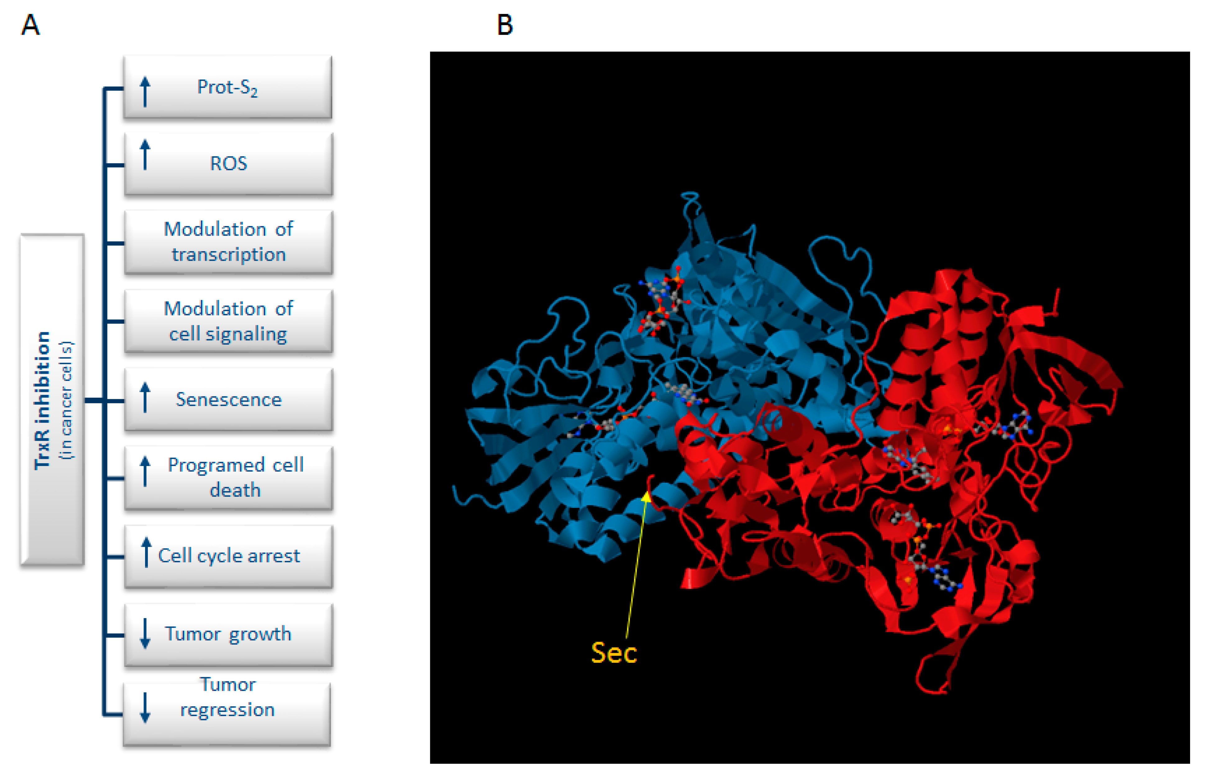 Molecules 20 12732 g001