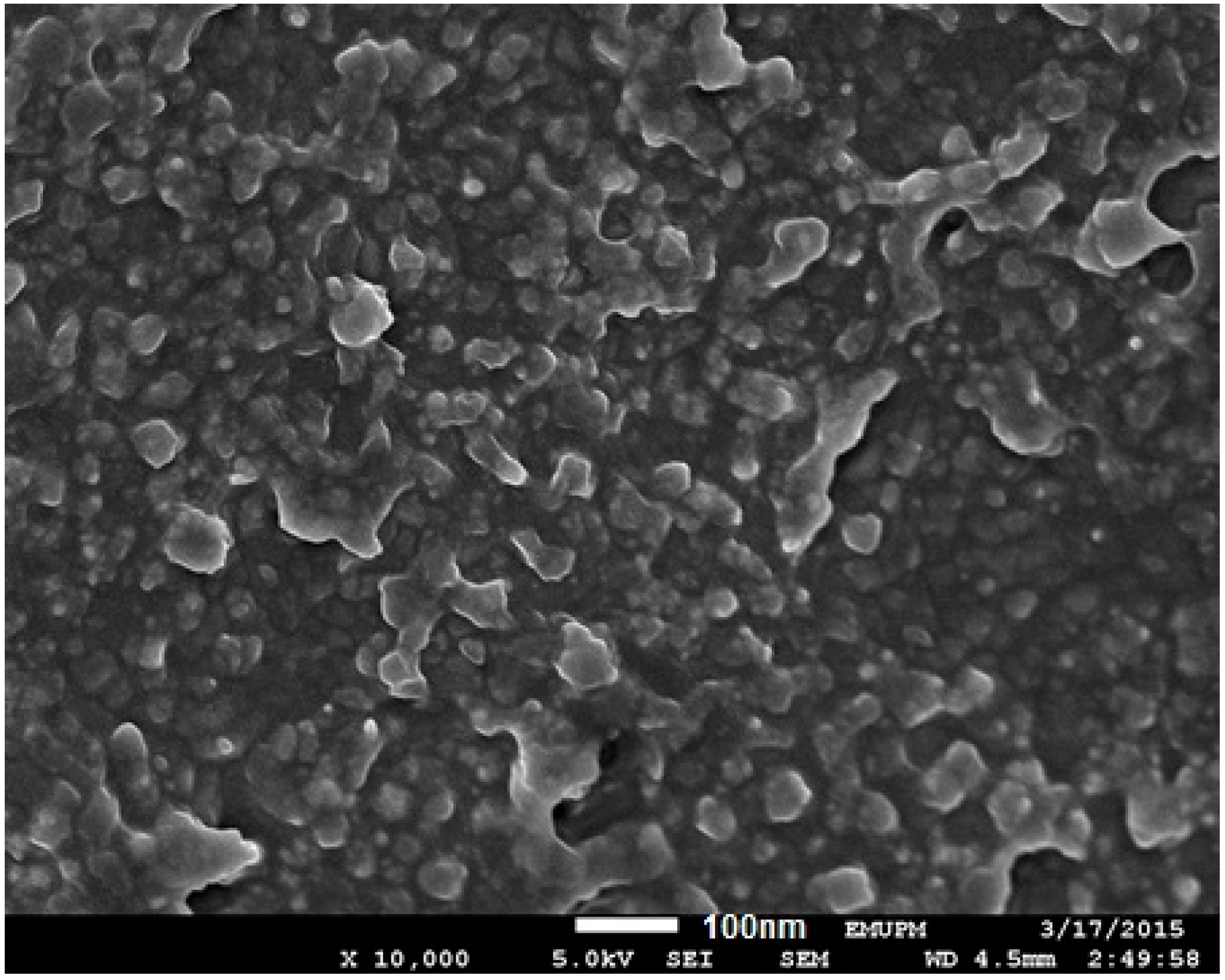 Molecules 20 12946 g005
