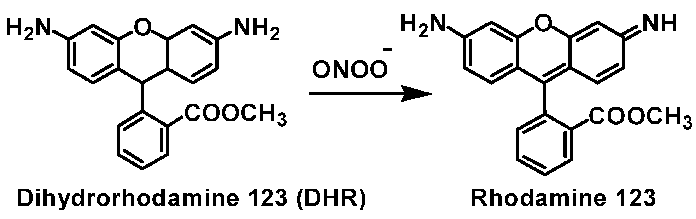 Molecules 20 12959 g009