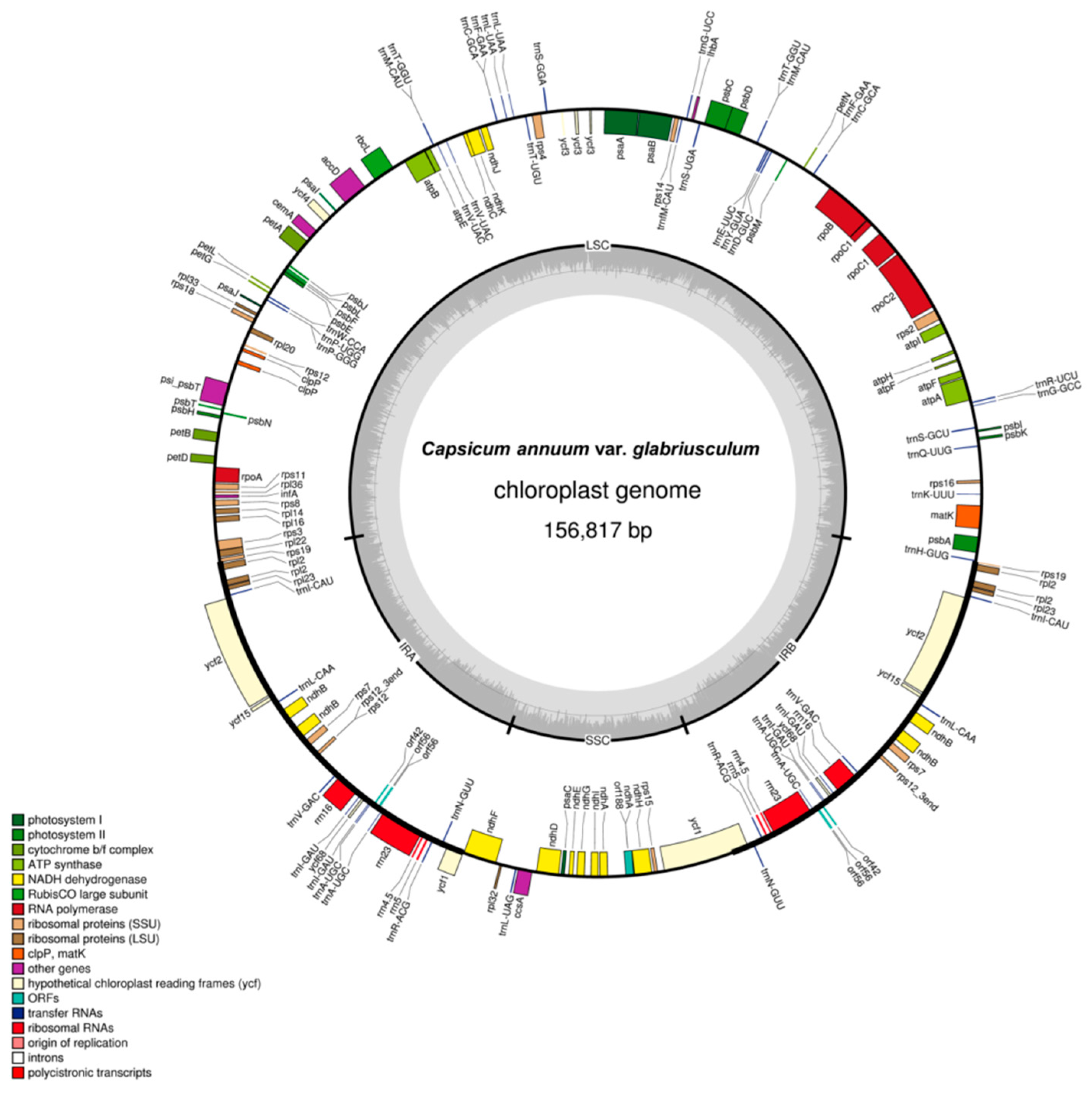 Molecules 20 13080 g001