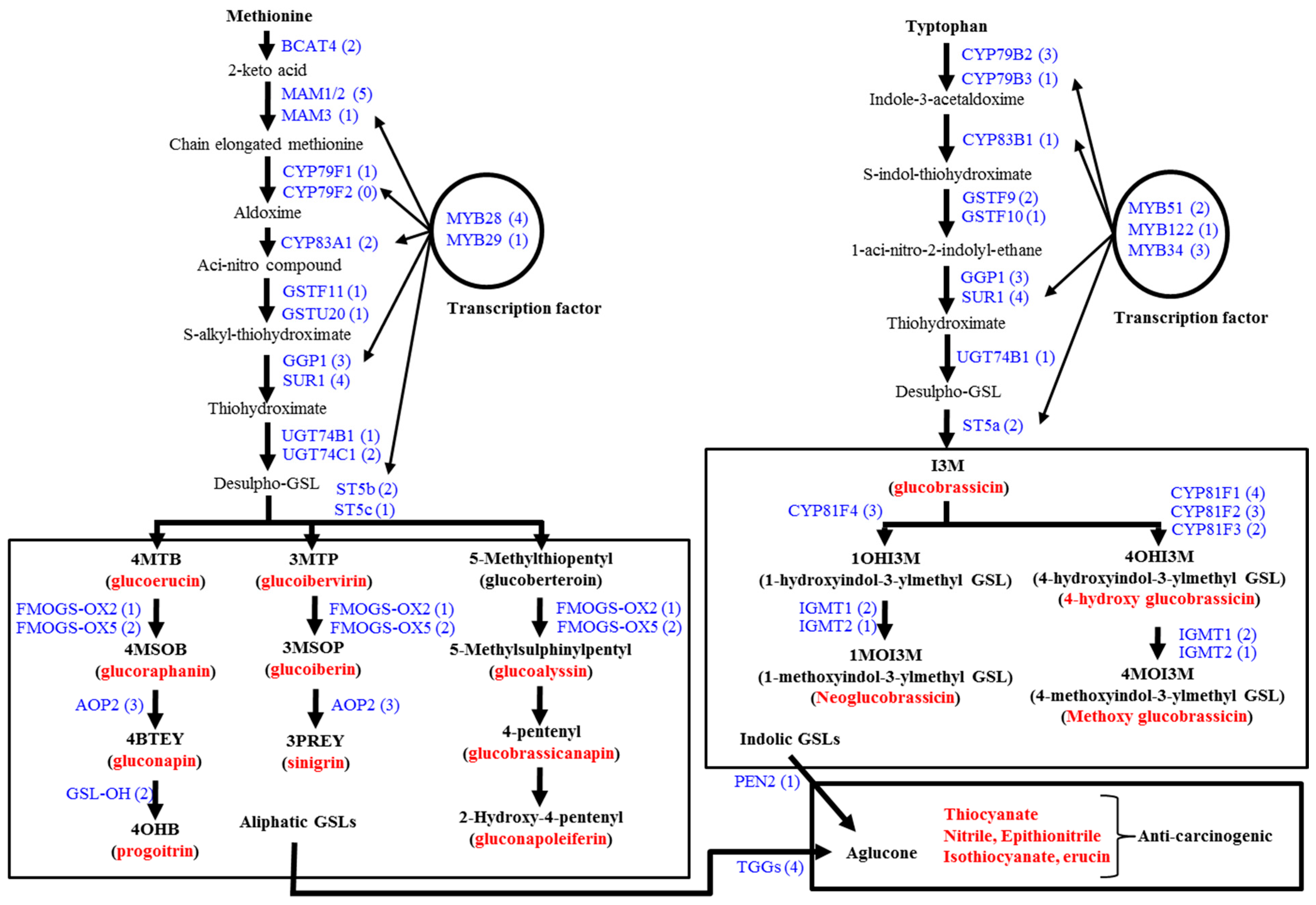Molecules 20 13089 g001