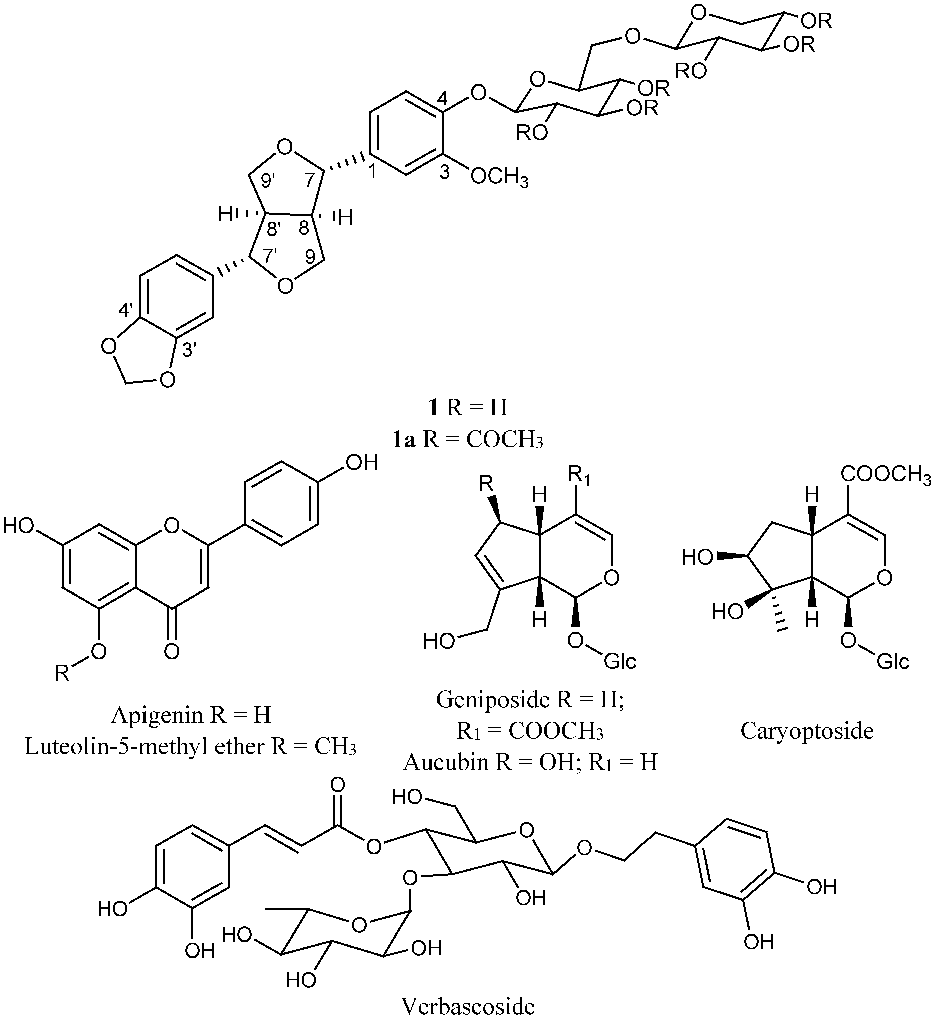 Molecules 20 13127 g001