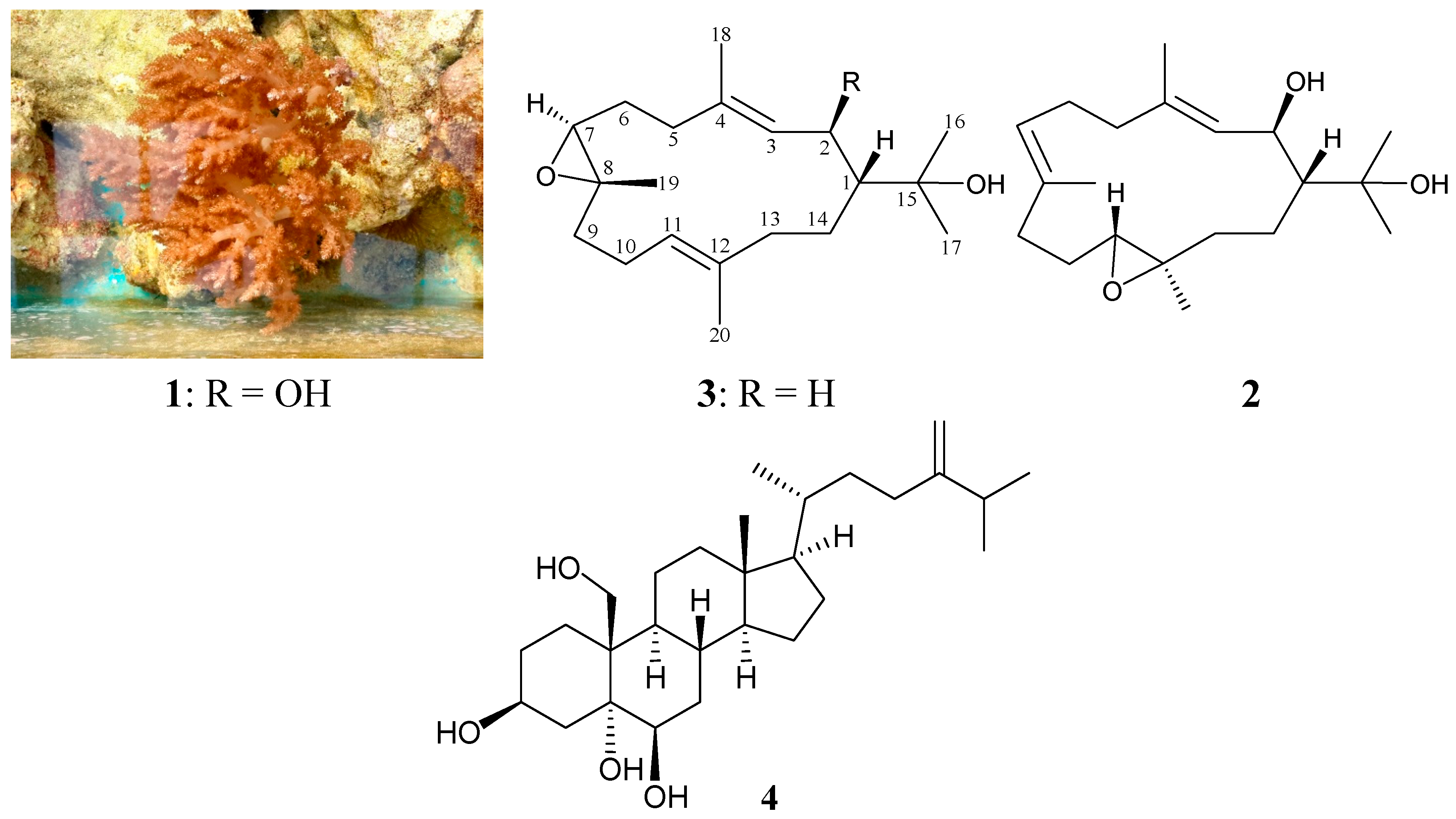Molecules 20 13205 g001