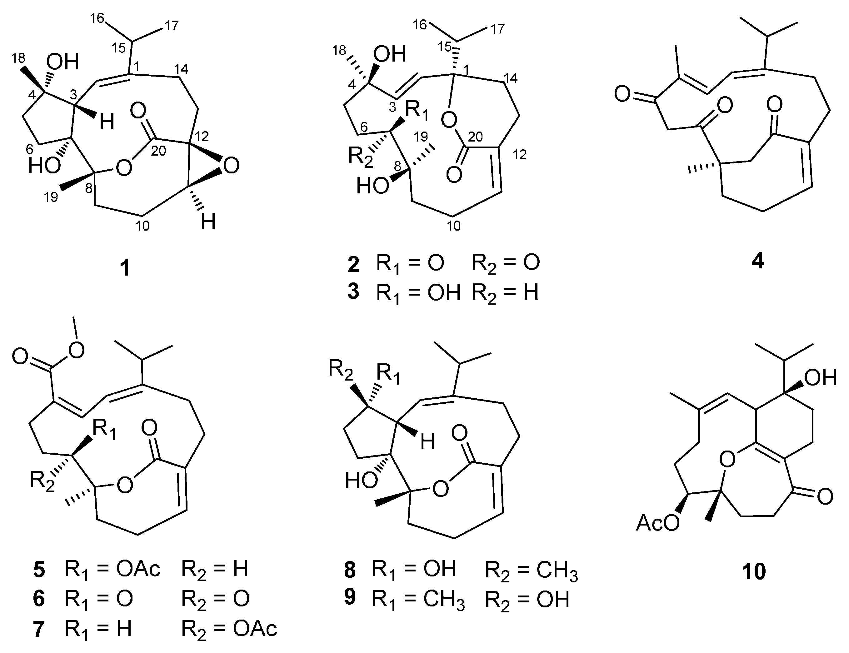 Molecules 20 13324 g001
