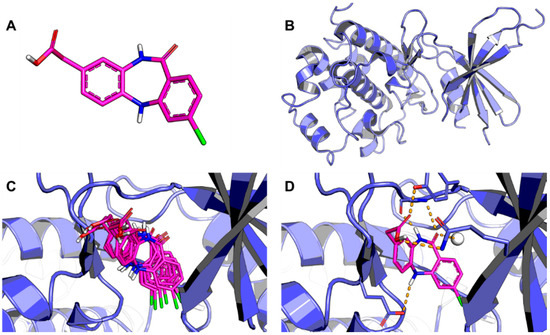 Molecular Docking and Structure-Based Drug Design Strategies