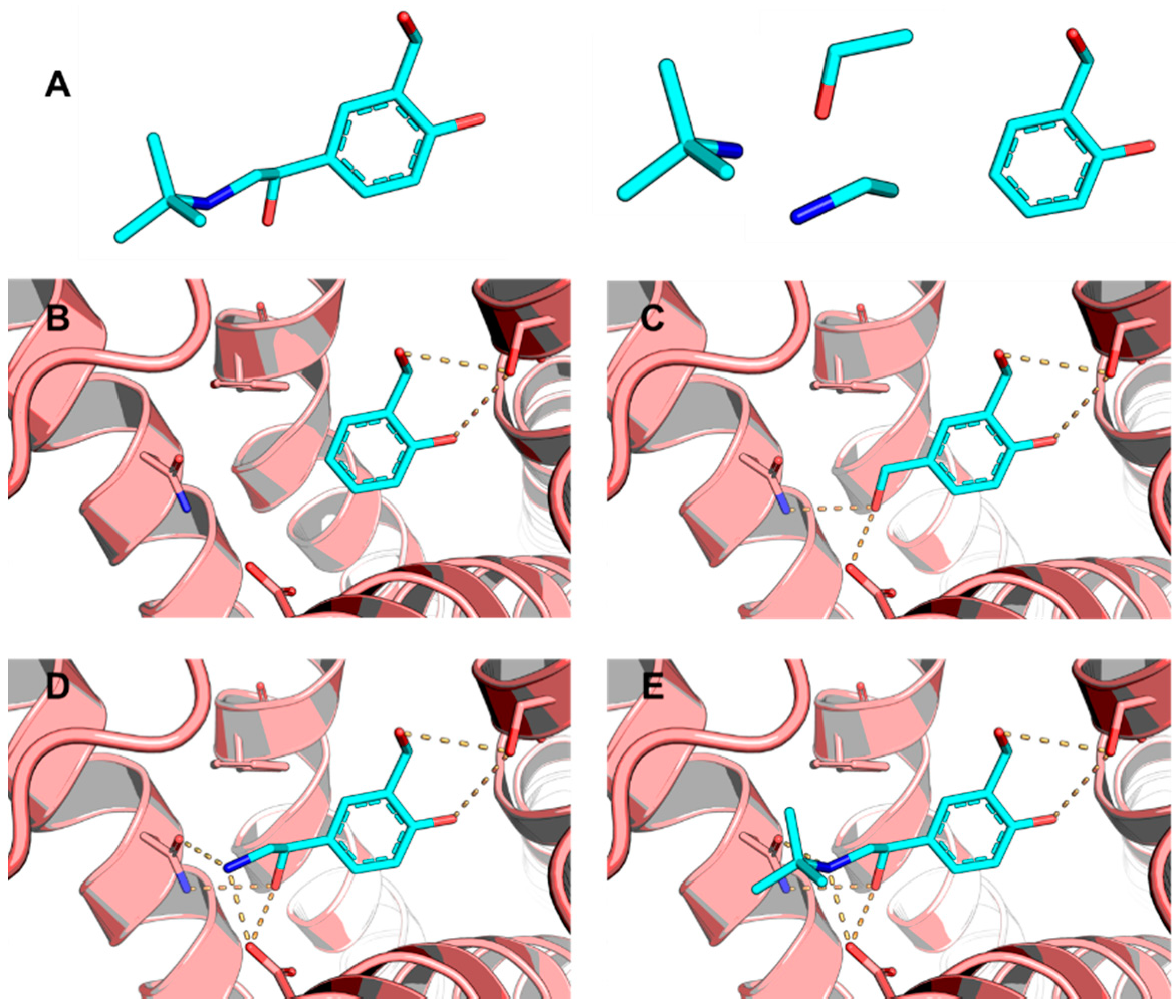 Molecules 20 13384 g004