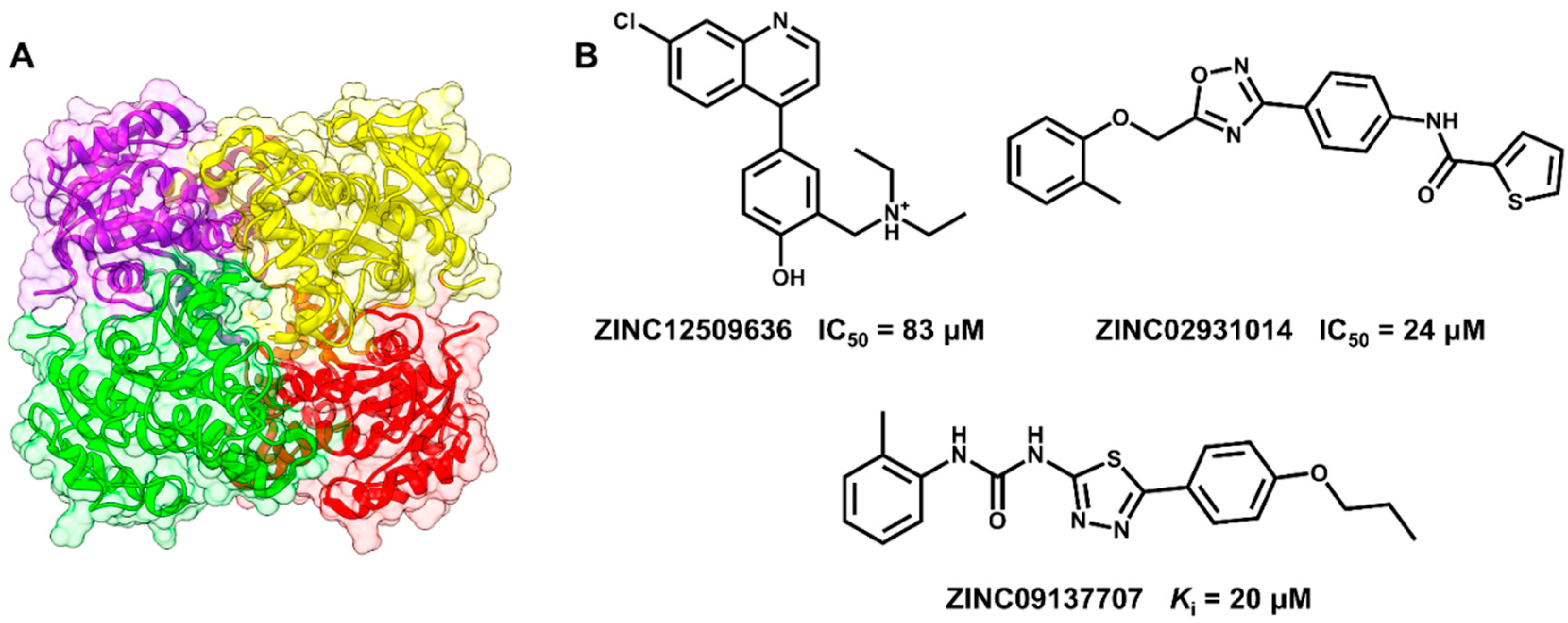 Molecules 20 13384 g007