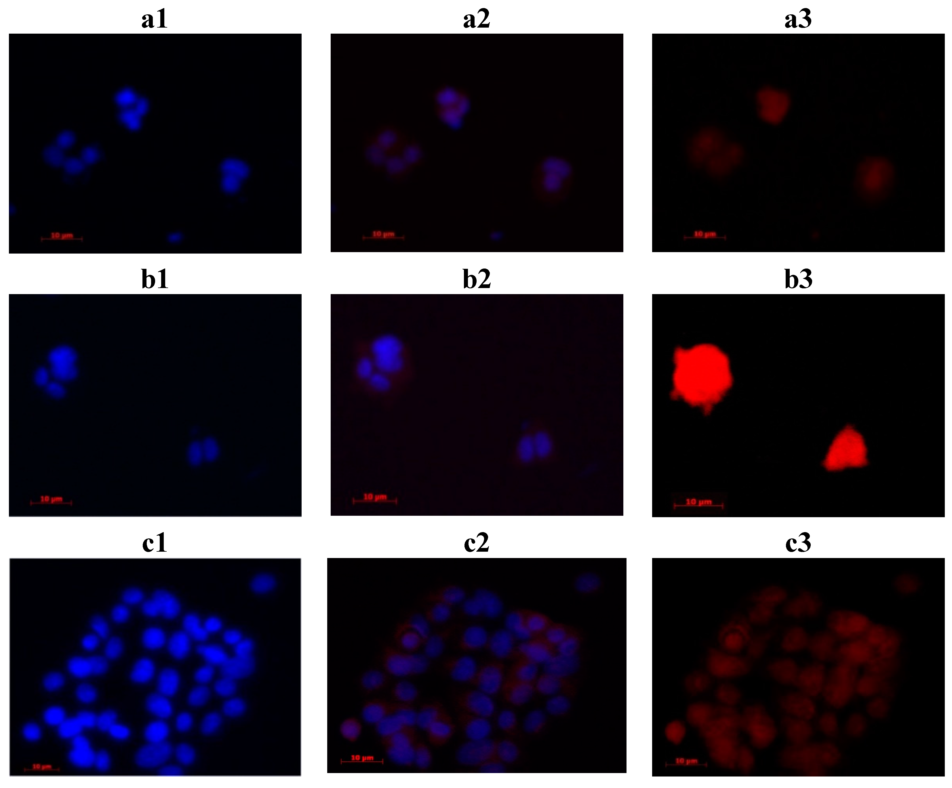 Molecules 20 13575 g007 550
