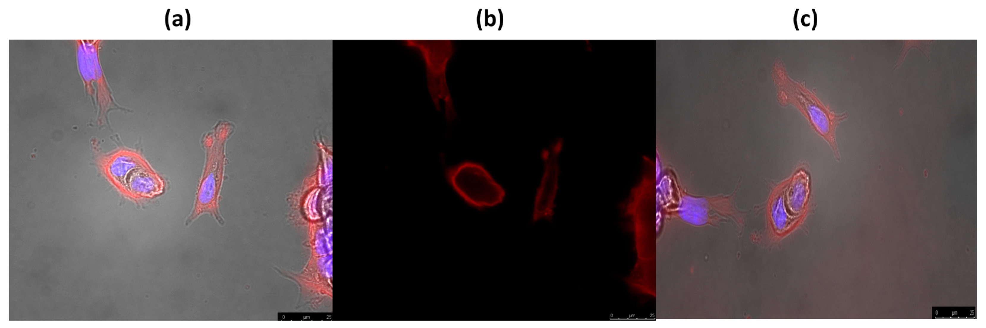 Molecules 20 13575 g008 550