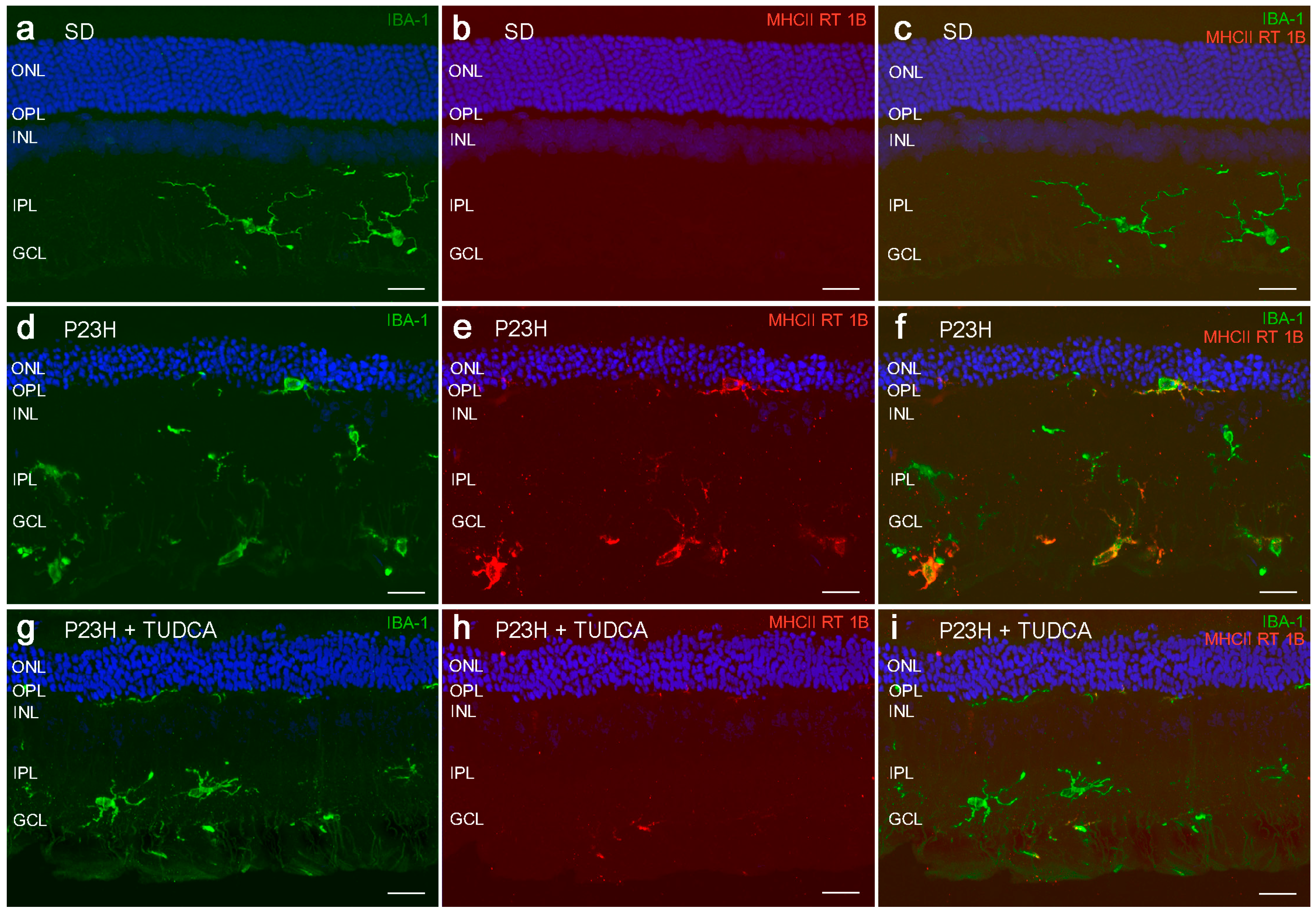 Molecules 20 13875 g002