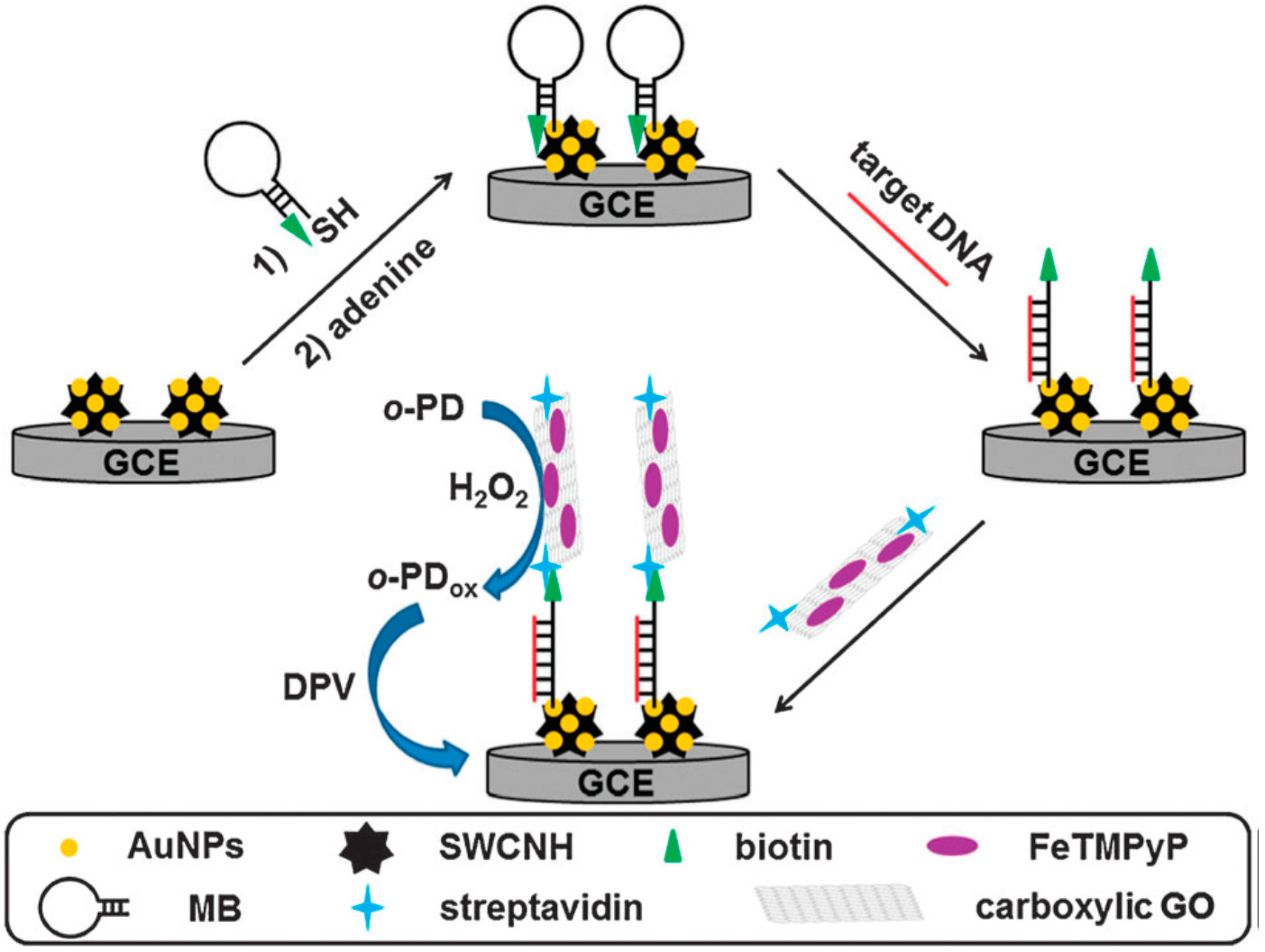 Molecules 20 14155 g003 550