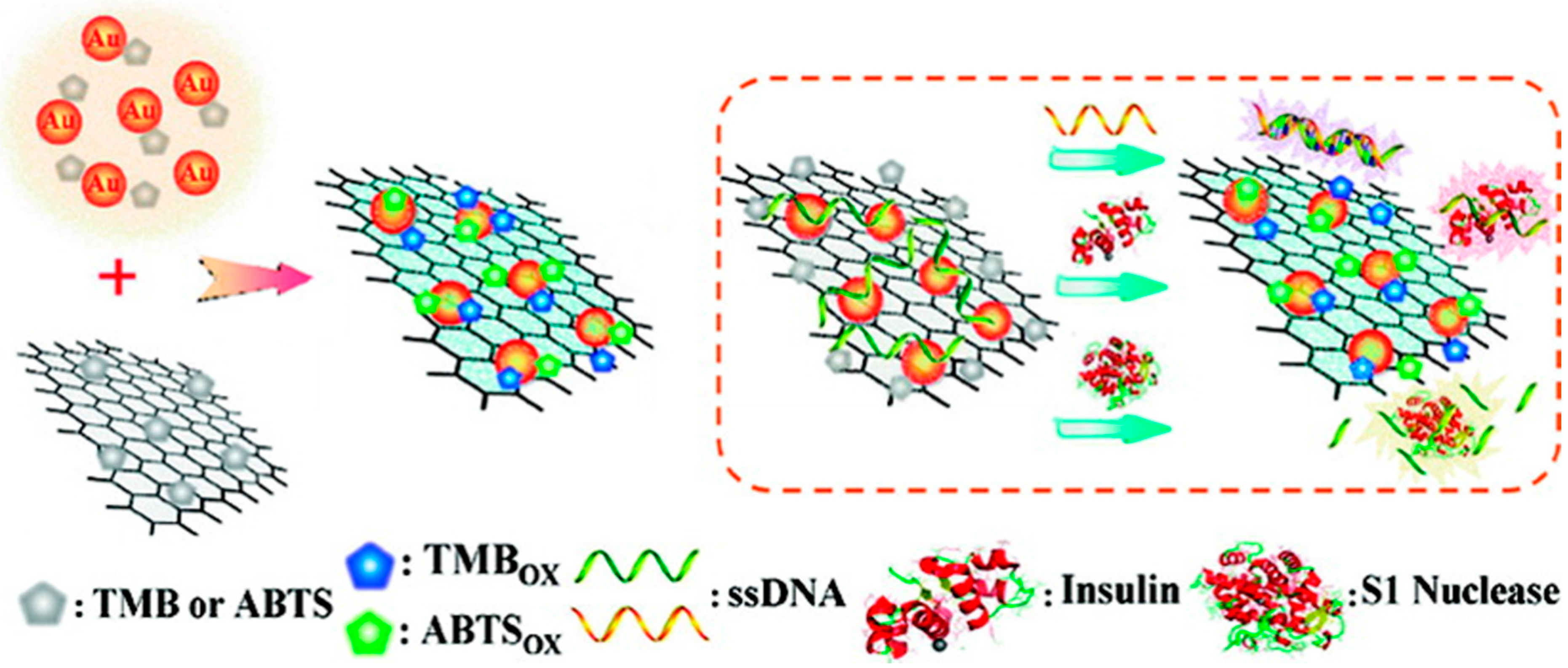 Molecules 20 14155 g005 550