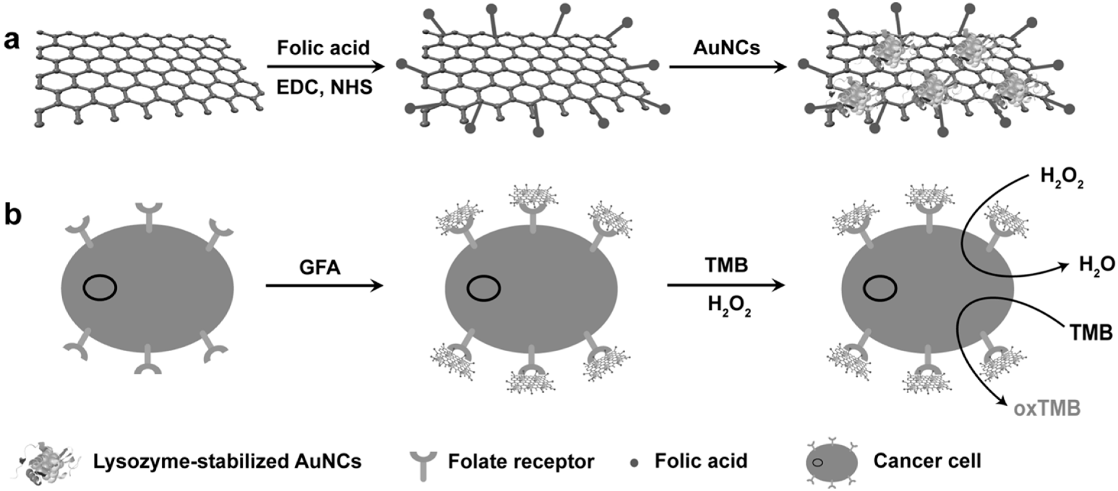 Molecules 20 14155 g006 550