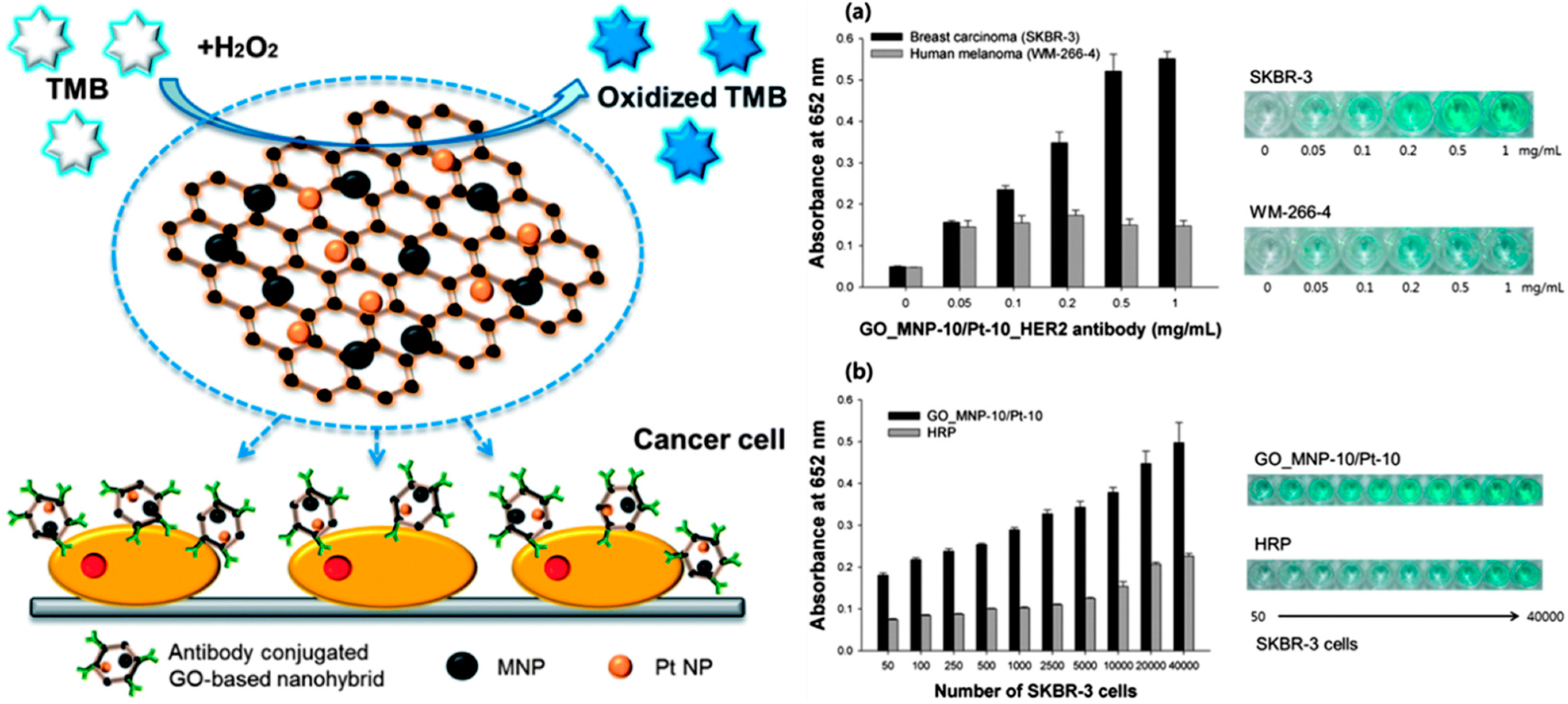 Molecules 20 14155 g009 550