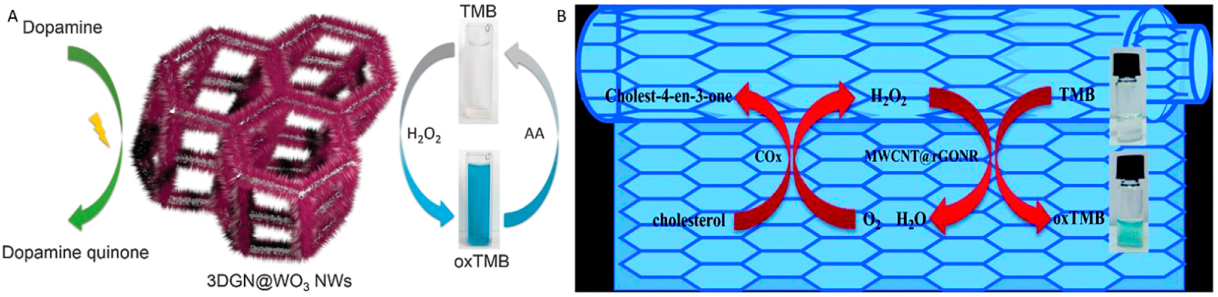 Molecules 20 14155 g012 550