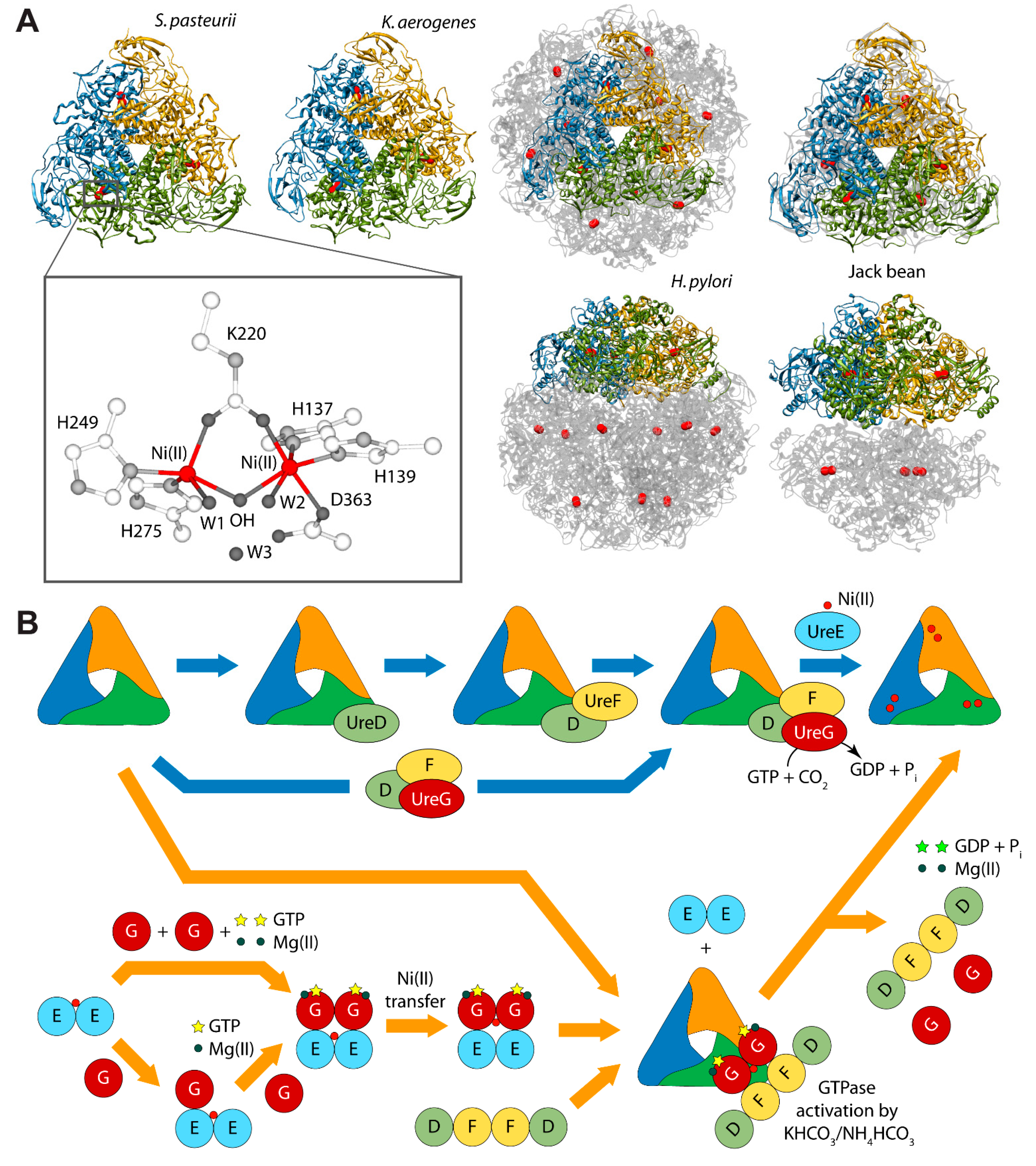 Molecules 20 14265 g001 550
