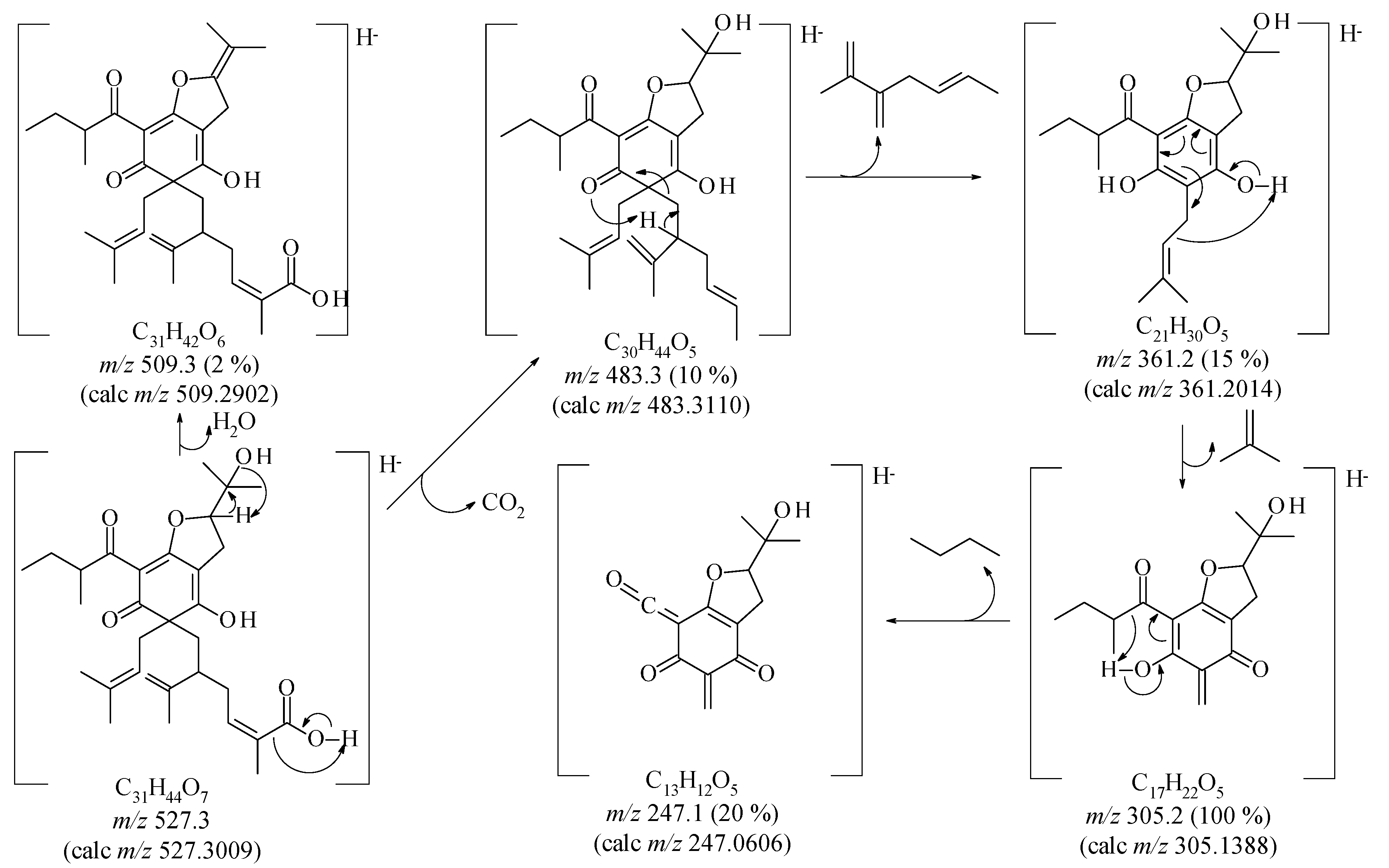 Molecules 20 14326 g002