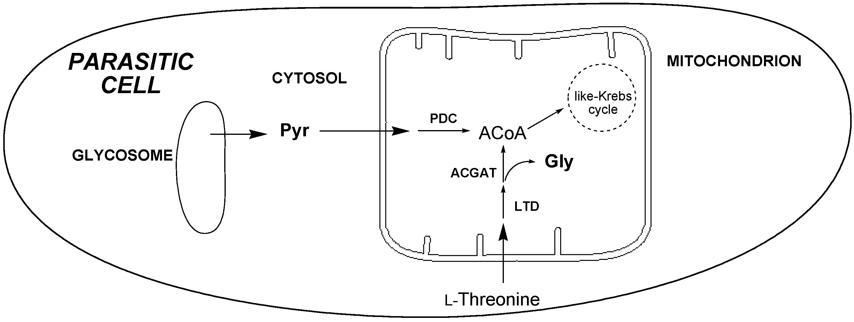 Molecules 20 14595 g004