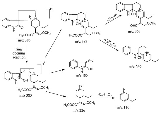 Rin様 Structural Stabilities and Transformation Mechanism of