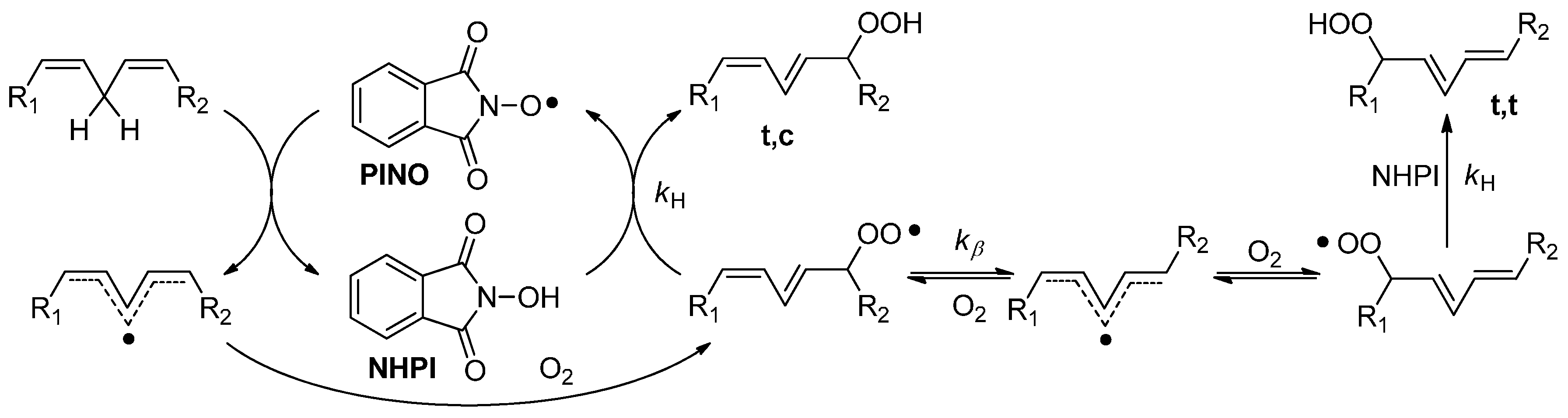 Molecules 20 15881 g003