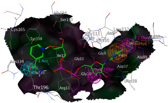 In Silico Identification and in Vitro Activity of Novel Natural ...