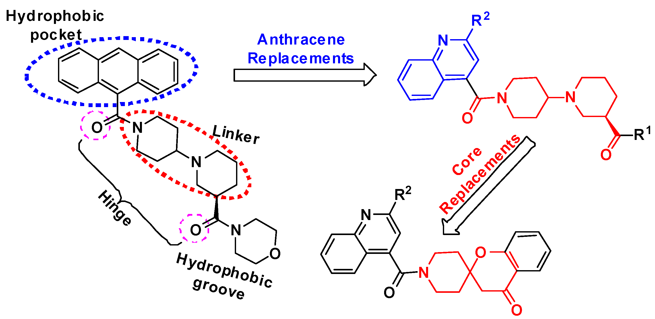 Molecules 20 16221 g003
