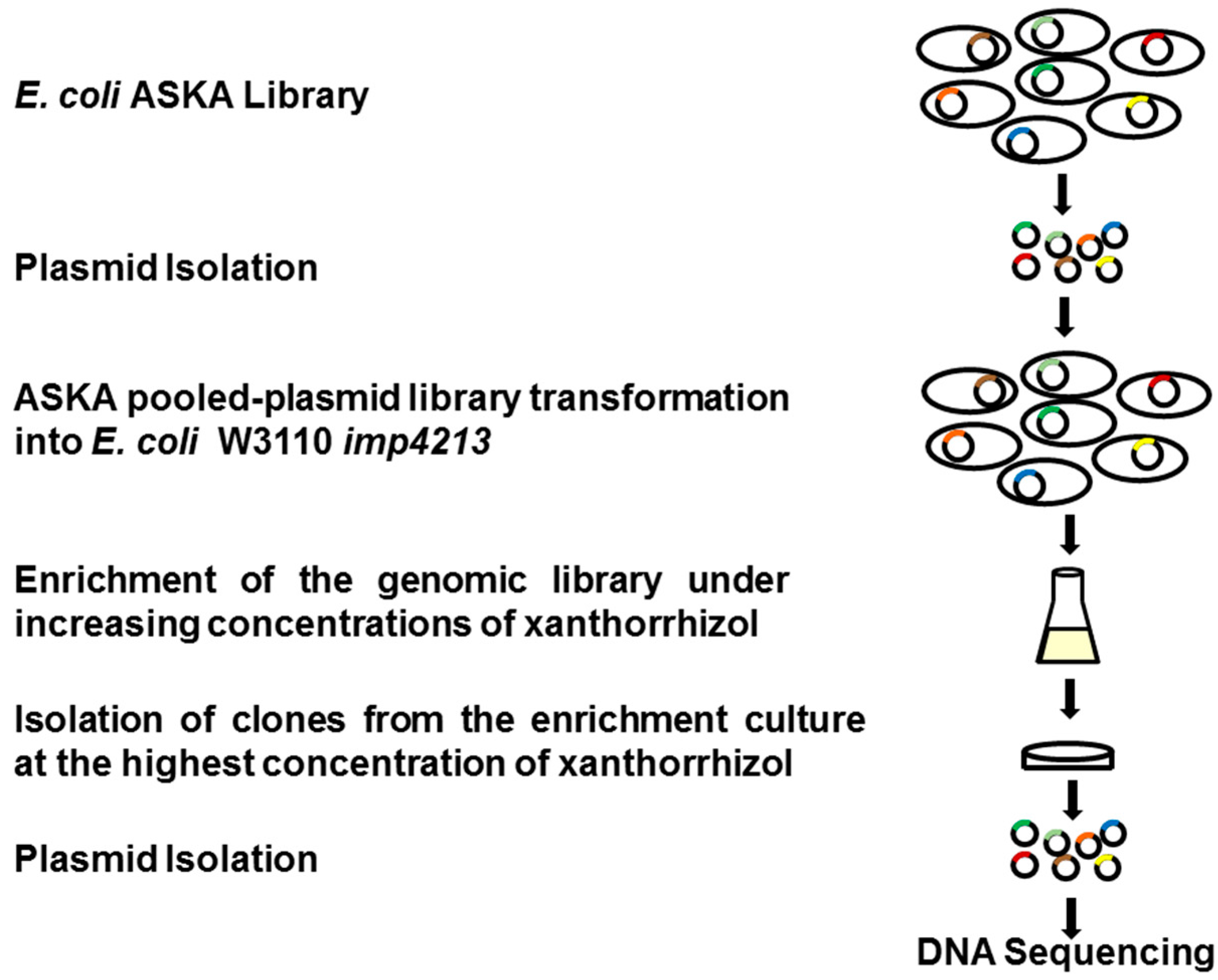 Molecules 20 16290 g005 550