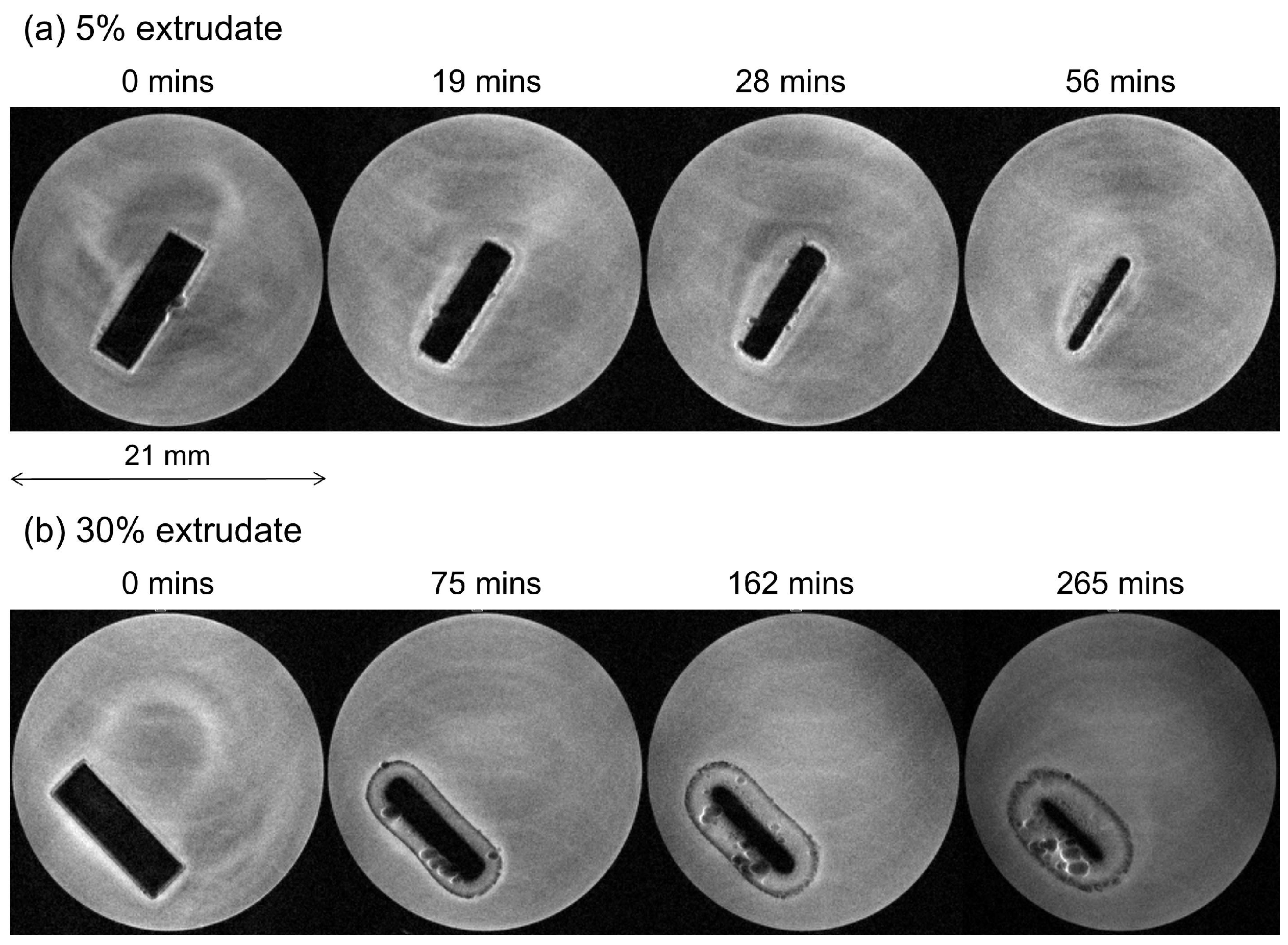 Molecules 20 16404 g005
