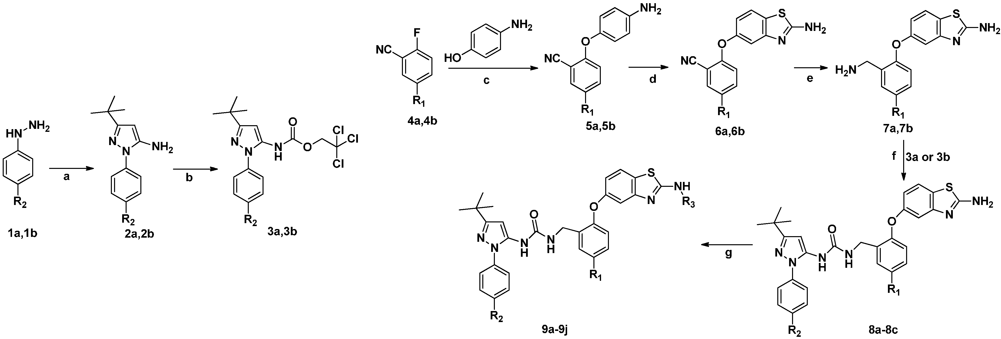 Molecules 20 16604 g004 550