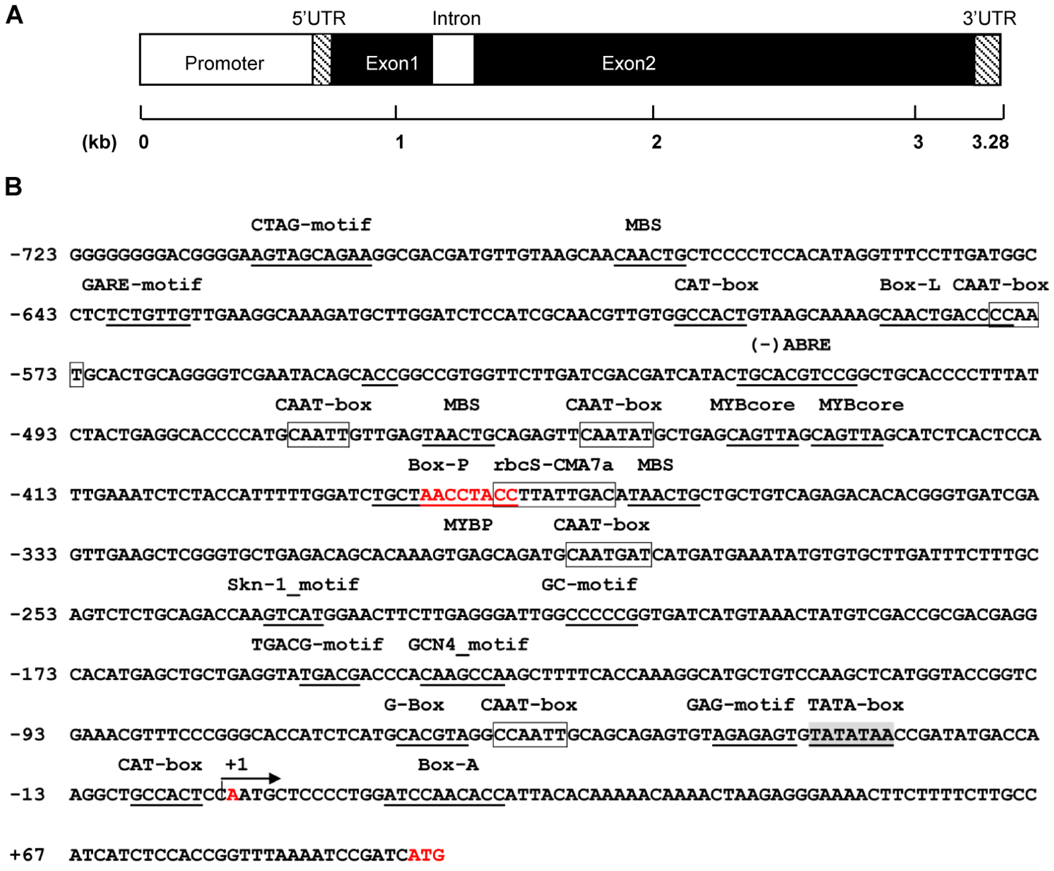 Molecules 20 16833 g005 550