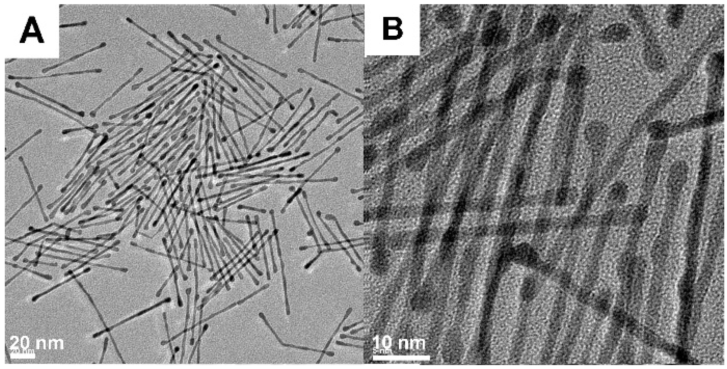 Molecules 20 17070 g003a