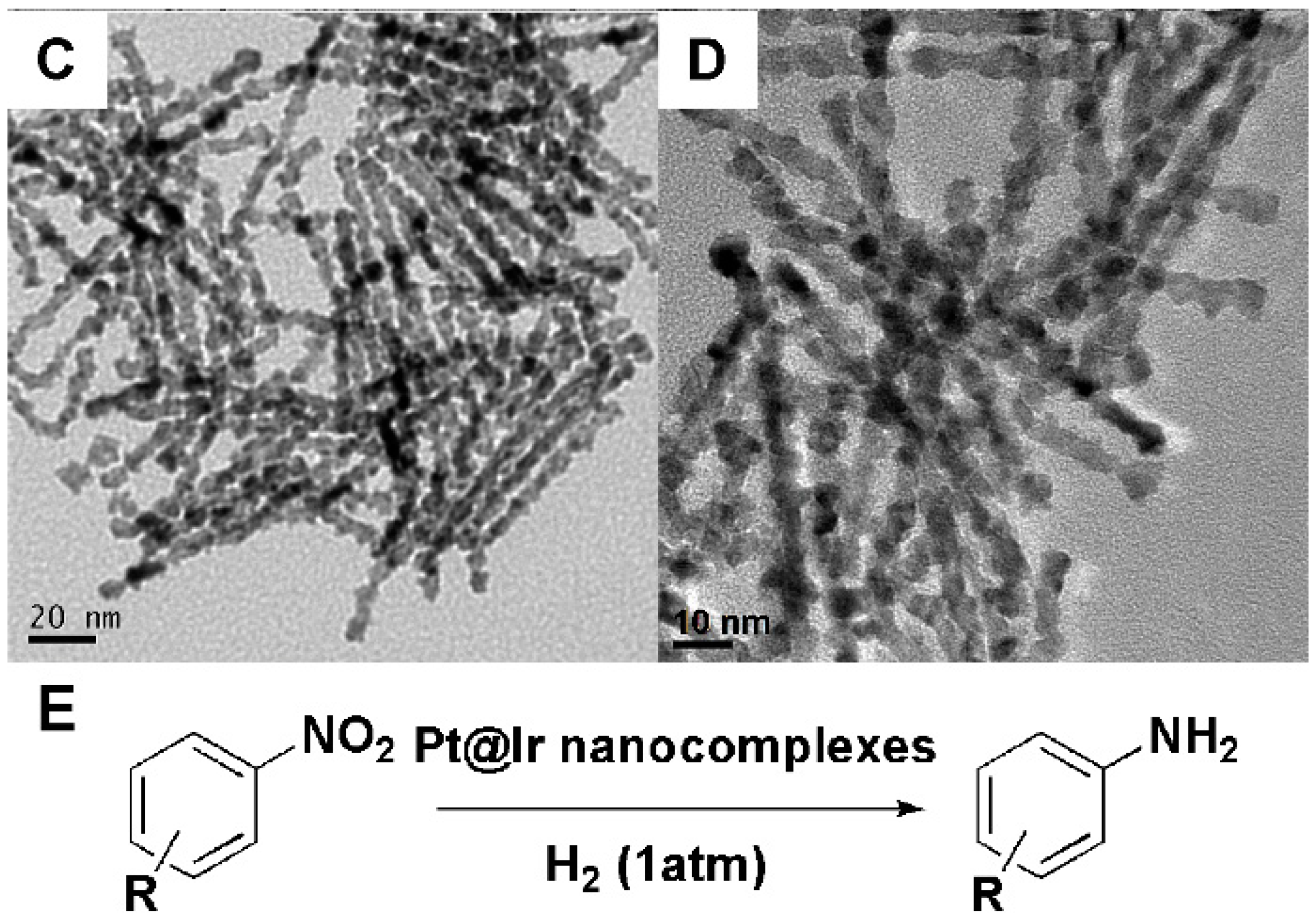 Molecules 20 17070 g003b