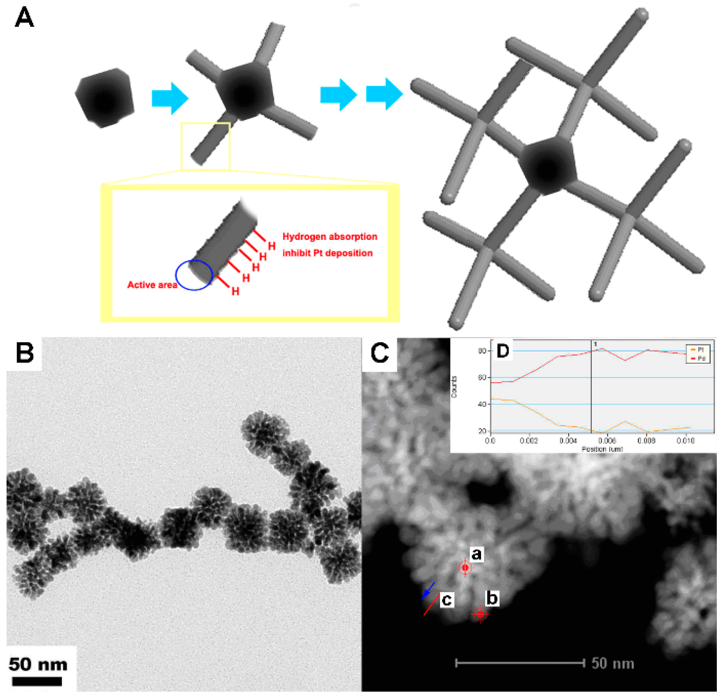Molecules 20 17070 g006