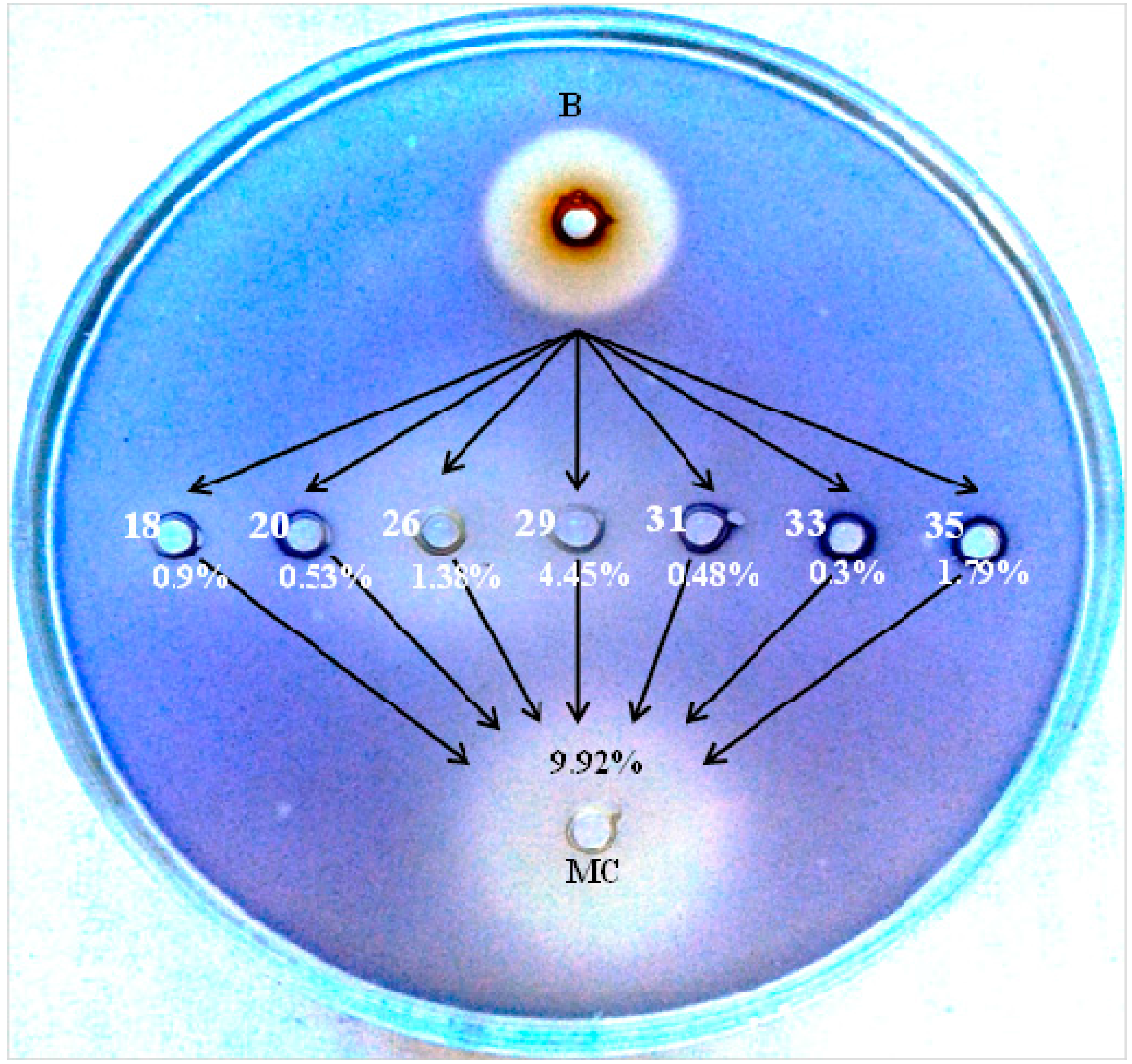 Molecules 20 17093 g004