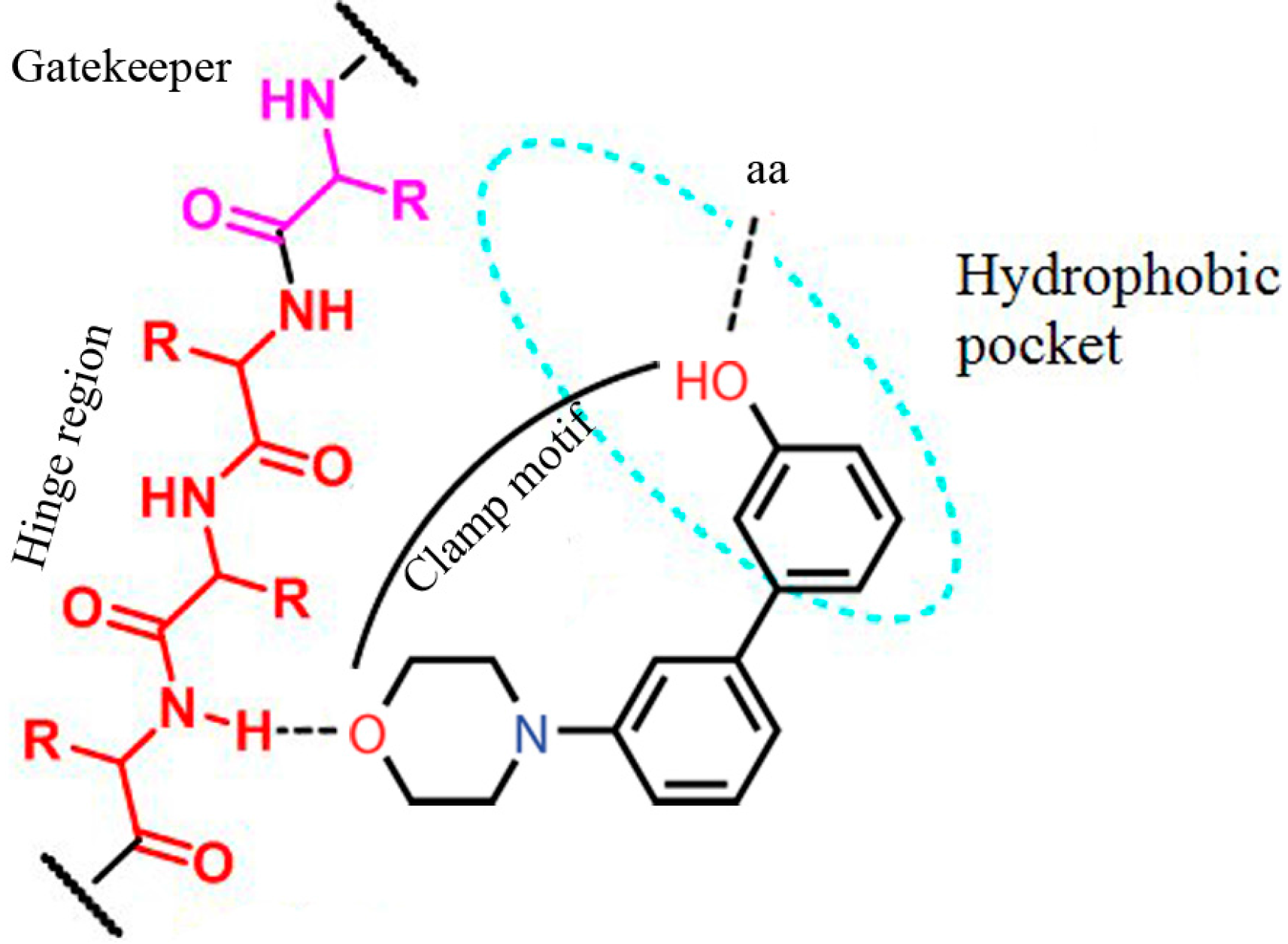 Molecules 20 17275 g001