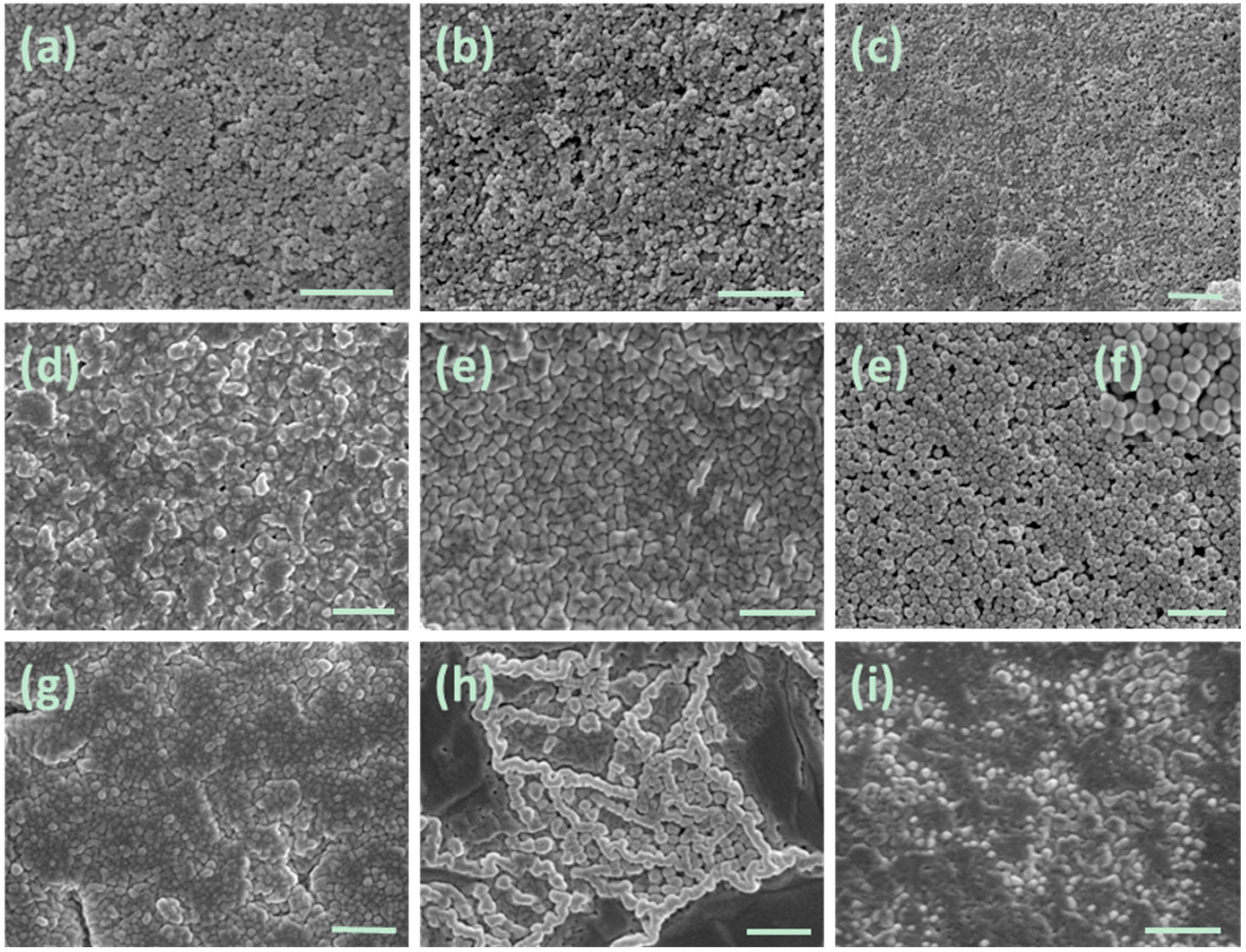 Molecules 20 17378 g004 550