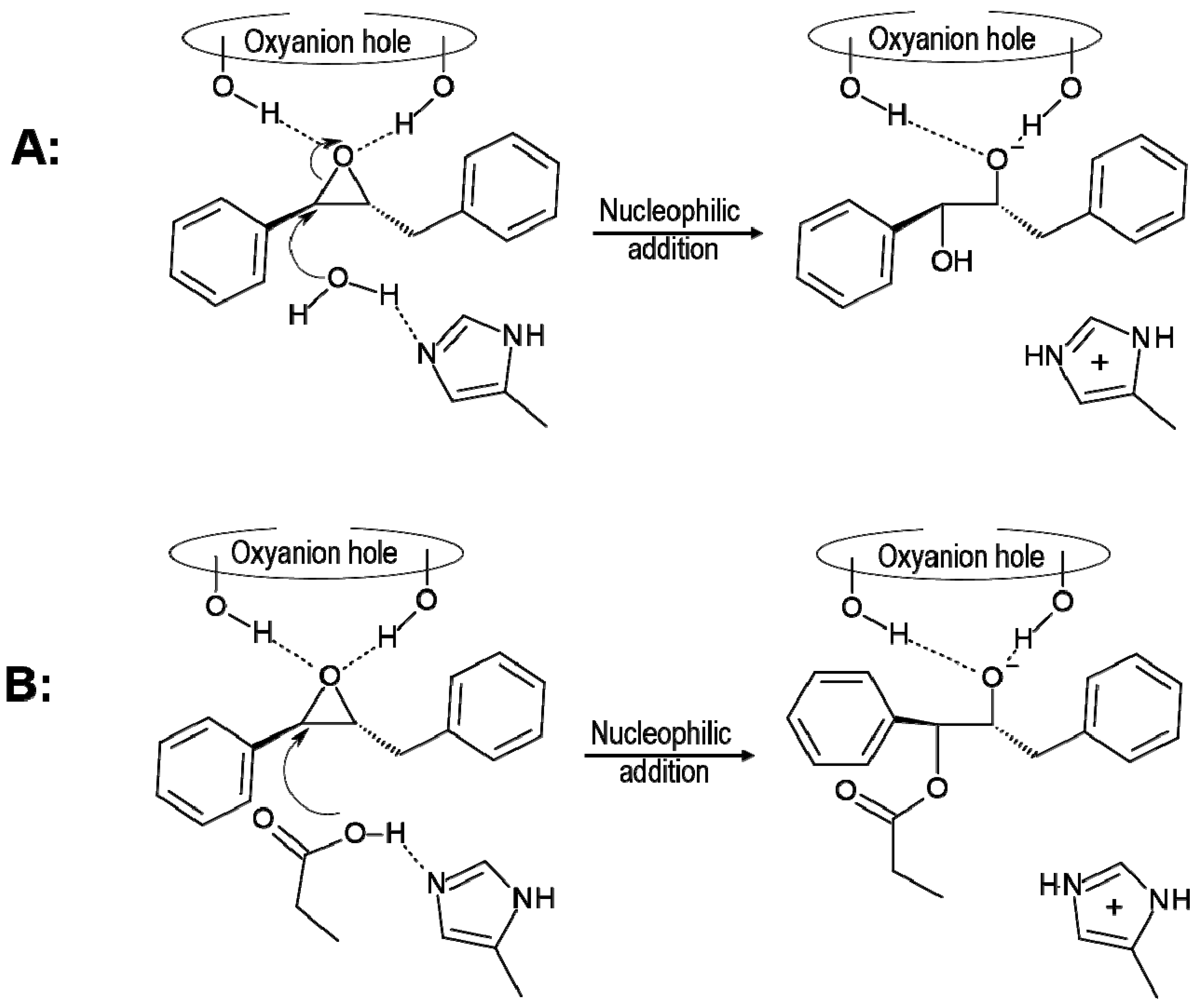 Molecules 20 17789 g010