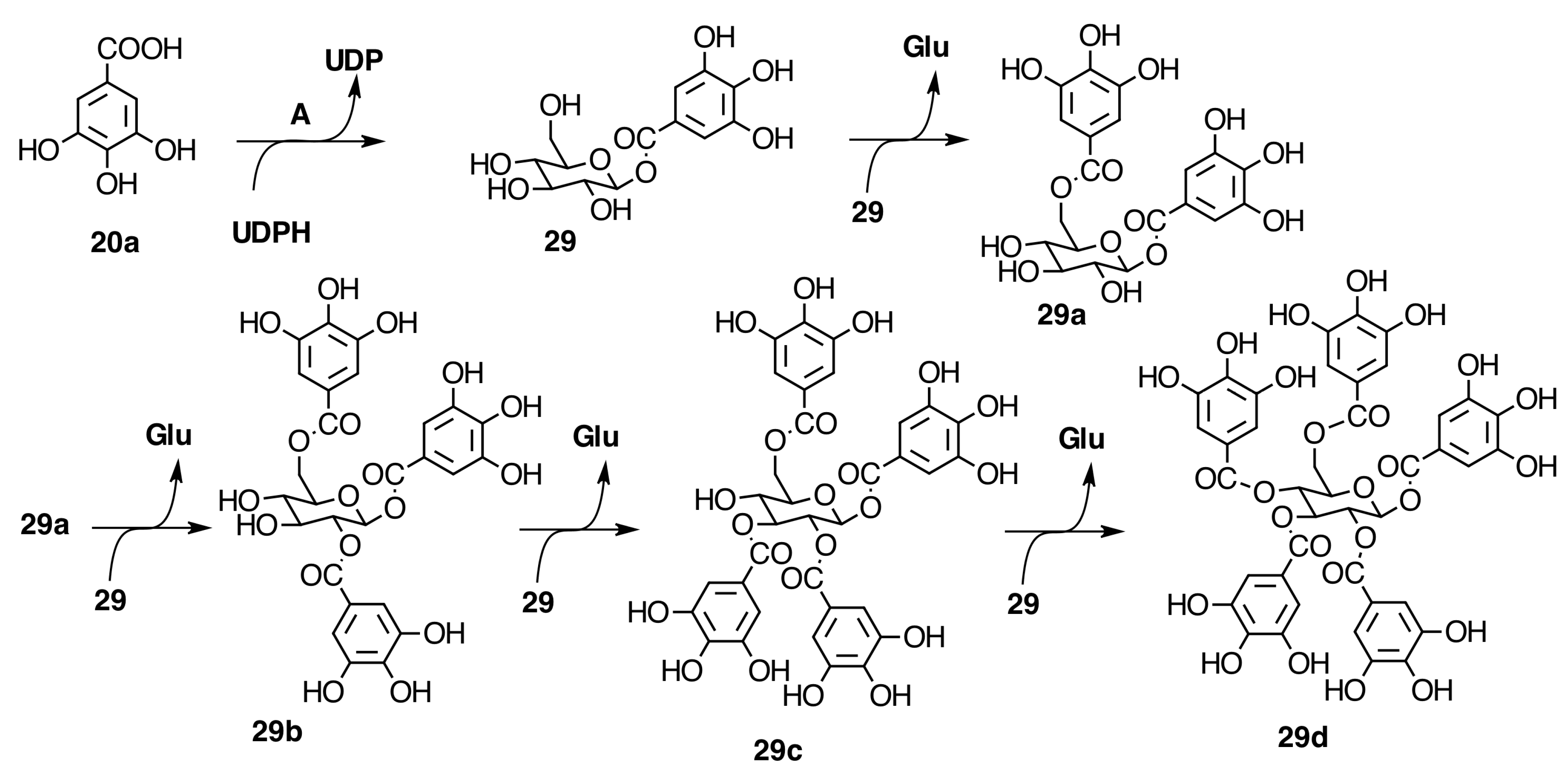 Molecules 20 17818 g007