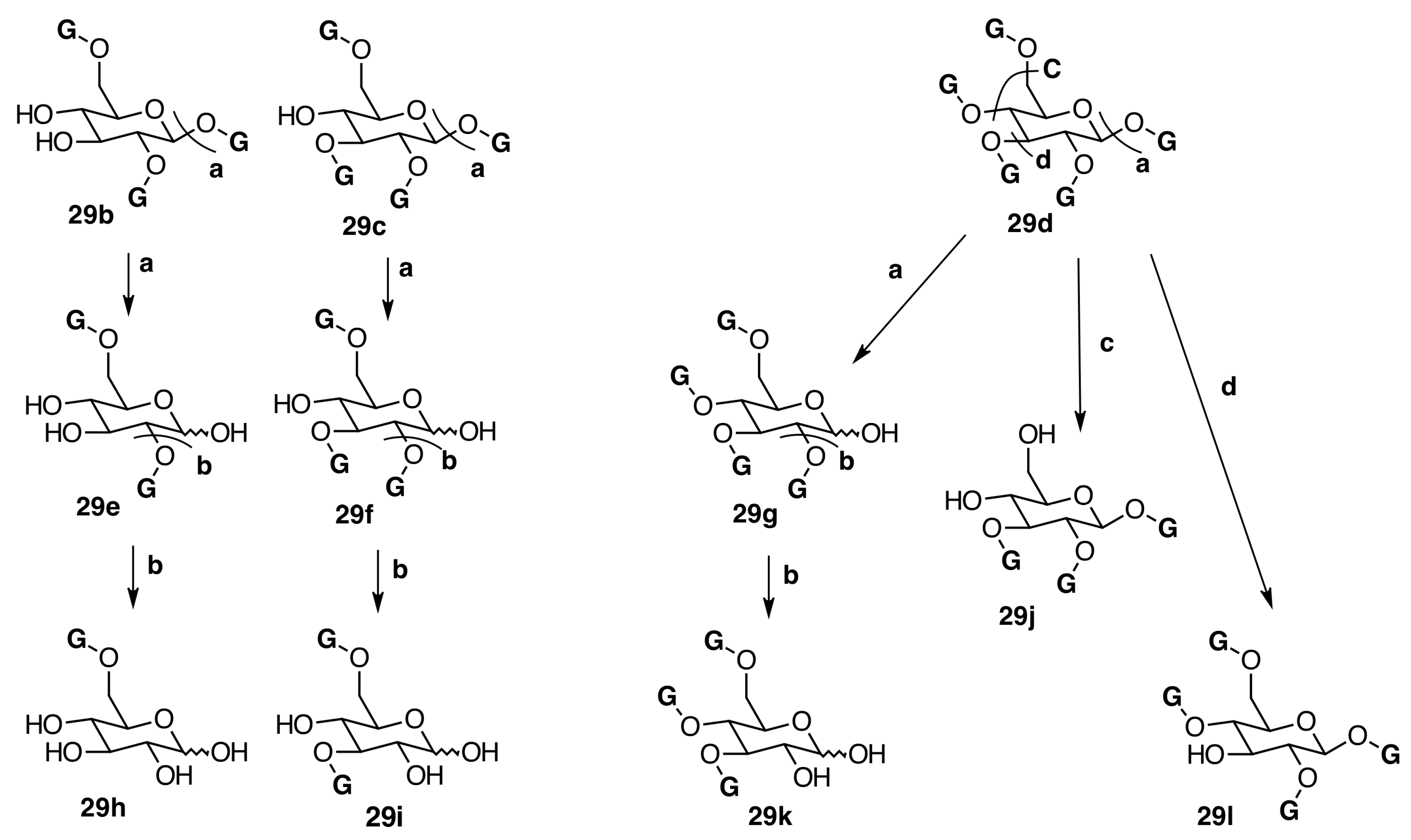 Molecules 20 17818 g008