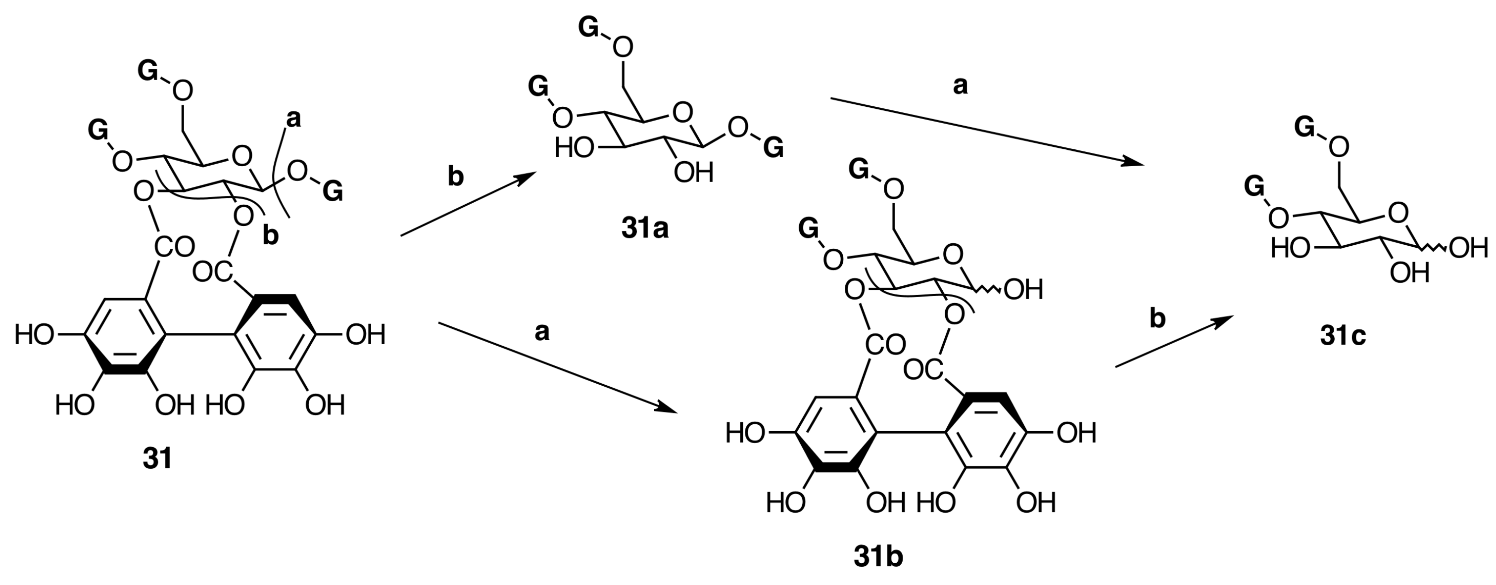 Molecules 20 17818 g013
